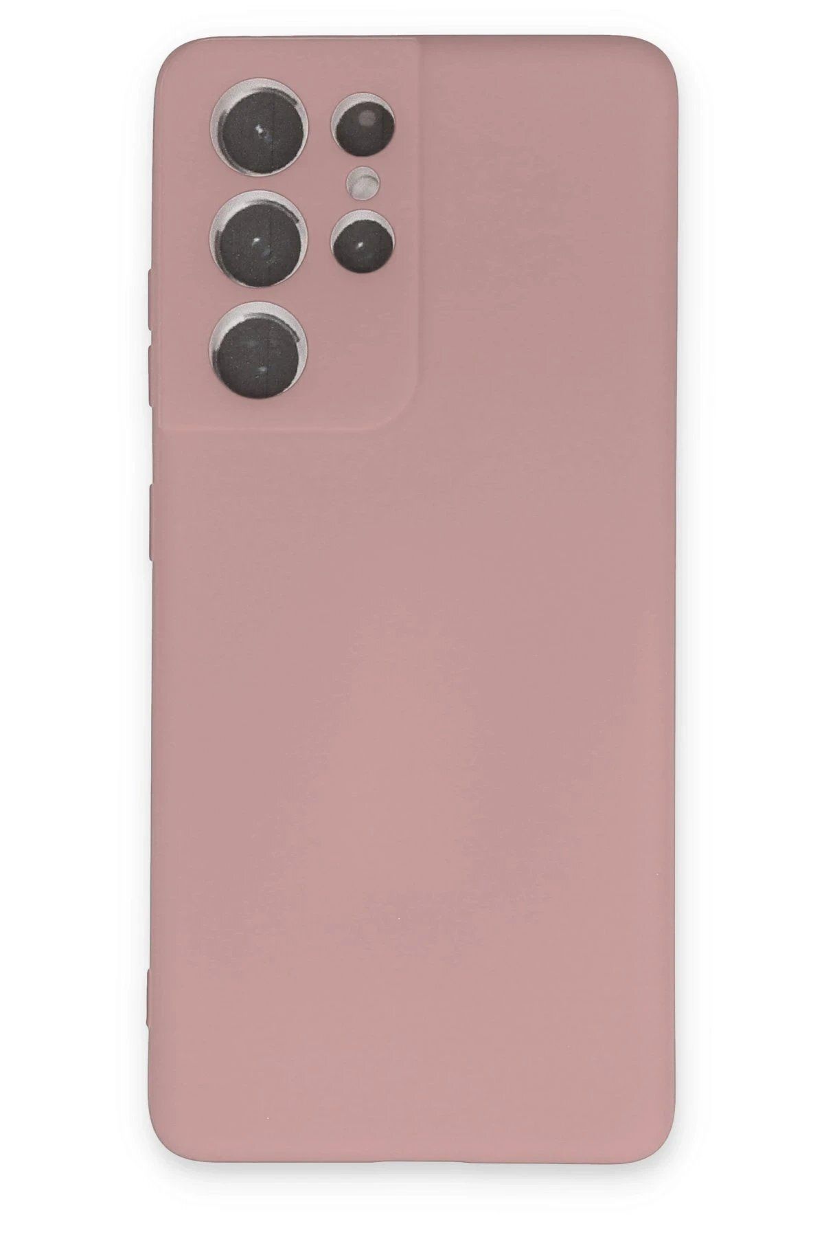 CepteToptan Newface Samsung Galaxy S21 Ultra Kılıf Nano içi Kadife Silikon - Pudra