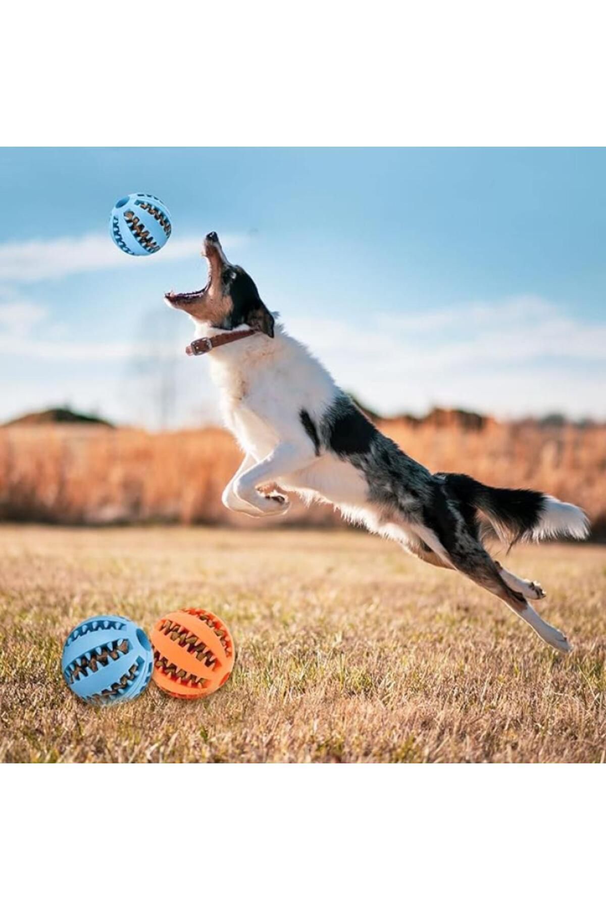 bestwork Mama Hazneli Köpek Eğitim Ve Oyun Topu