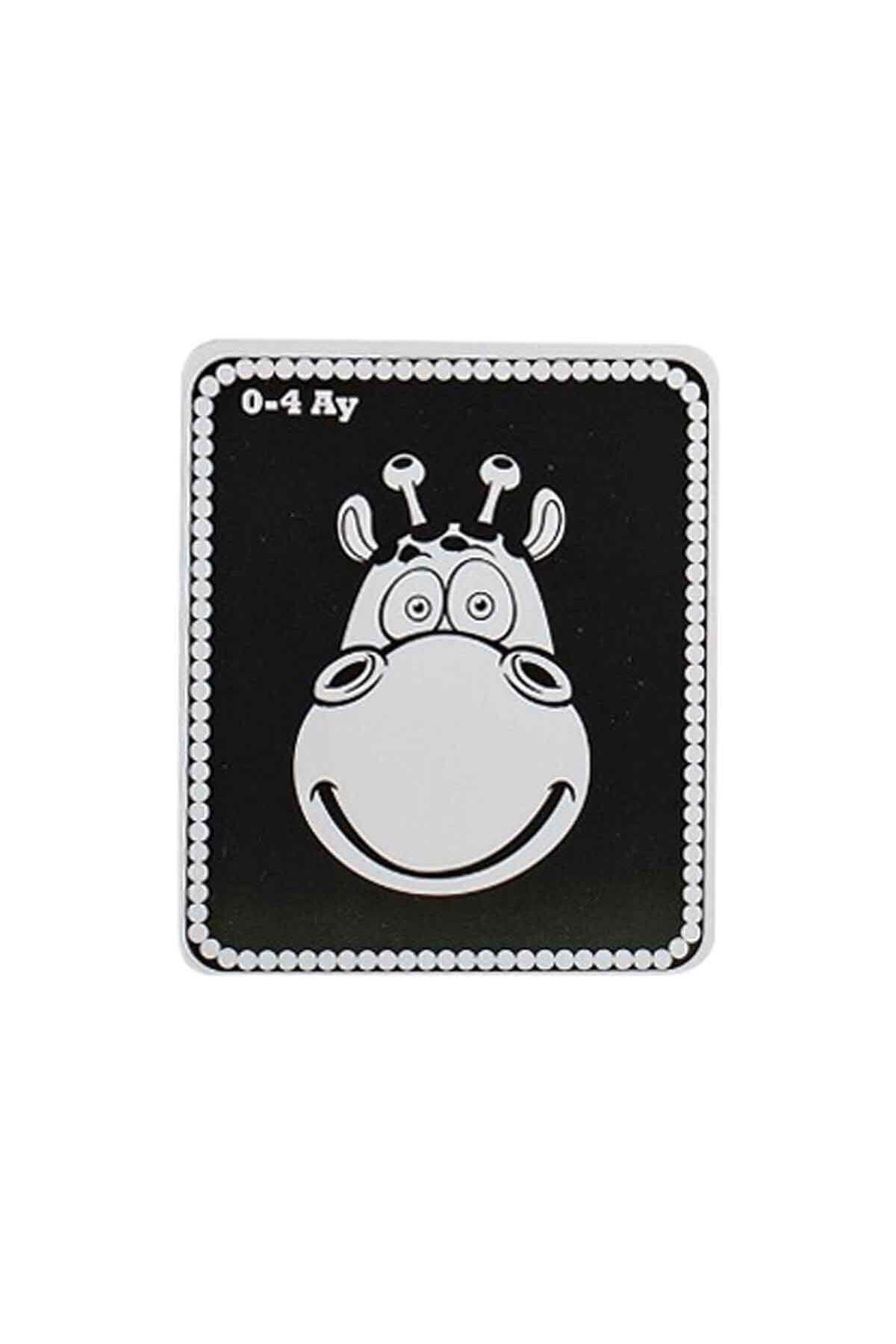 scntoys-My Baby's First Intelligence Cards 0-12 Months - First Activity Intelligence Card Game Set with Pictures for Babies 0-12 Months 3