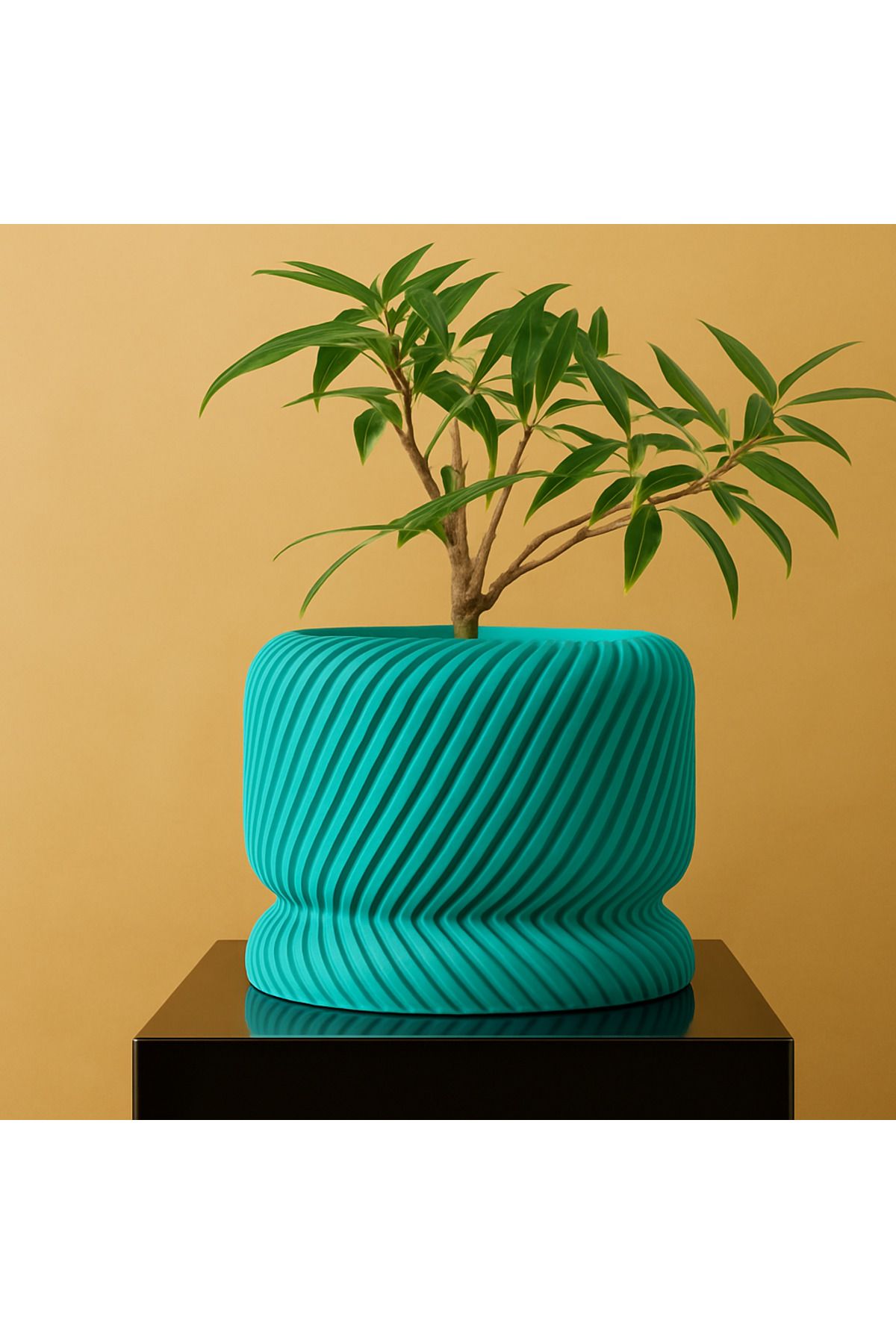 Printora Spiral Doku Tasarımlı 3D Saksı + Altlık Seti