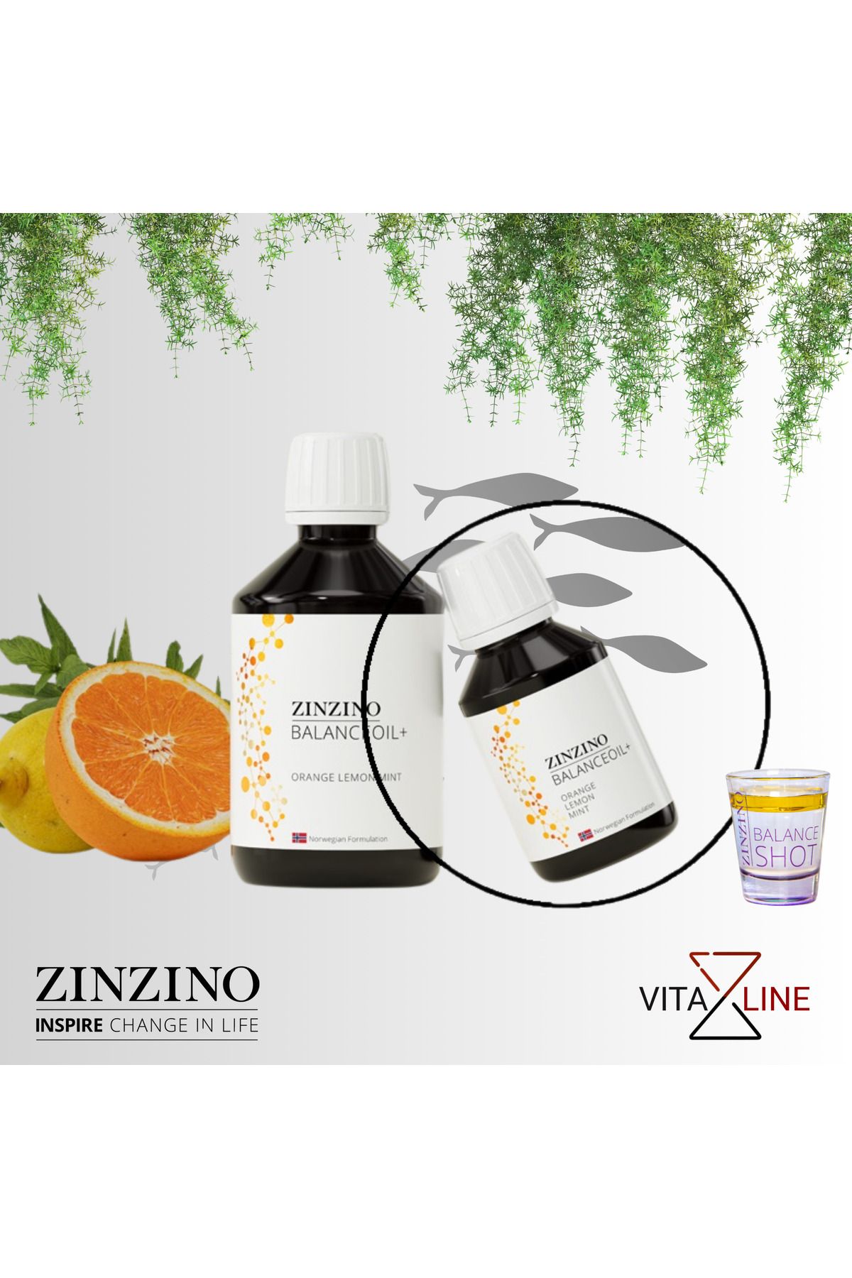 Zinzino Omega 3, D Vitamini, Epa, Dha Ve Polifenollü Yeni Nesil Portakal Nane Aromalı Balık Yağı 100ml