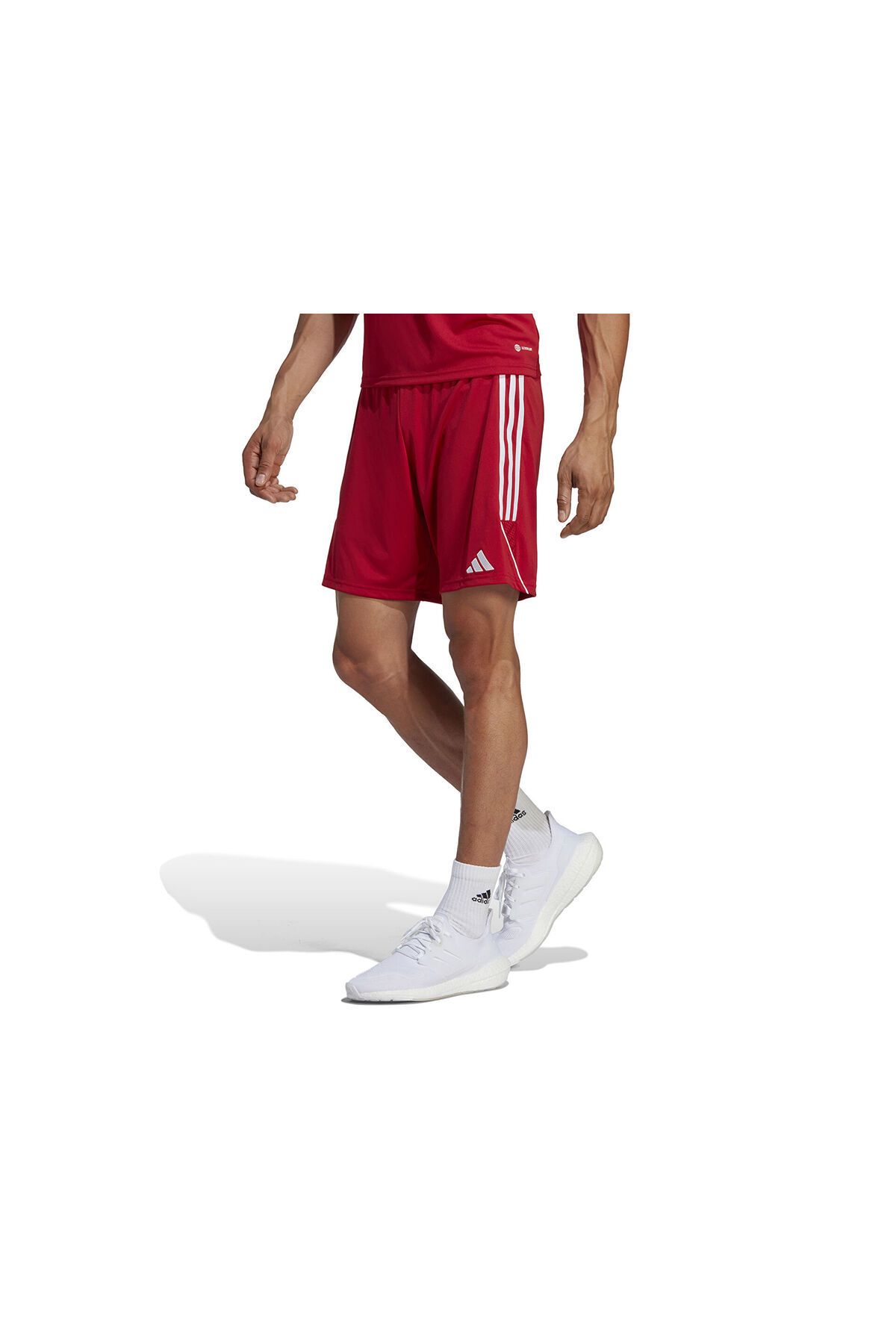 adidas Tiro 23 Sho Erkek Futbol Antrenman Şortu IB8082 Kırmızı