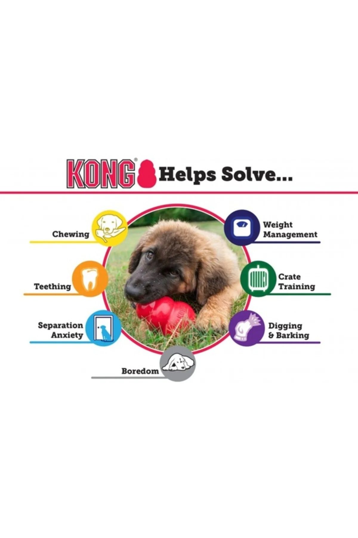Kong-لعبة كلب كلاسيكية مقاس 15.5 سم مقاس XXL مع خزان جائزة 3
