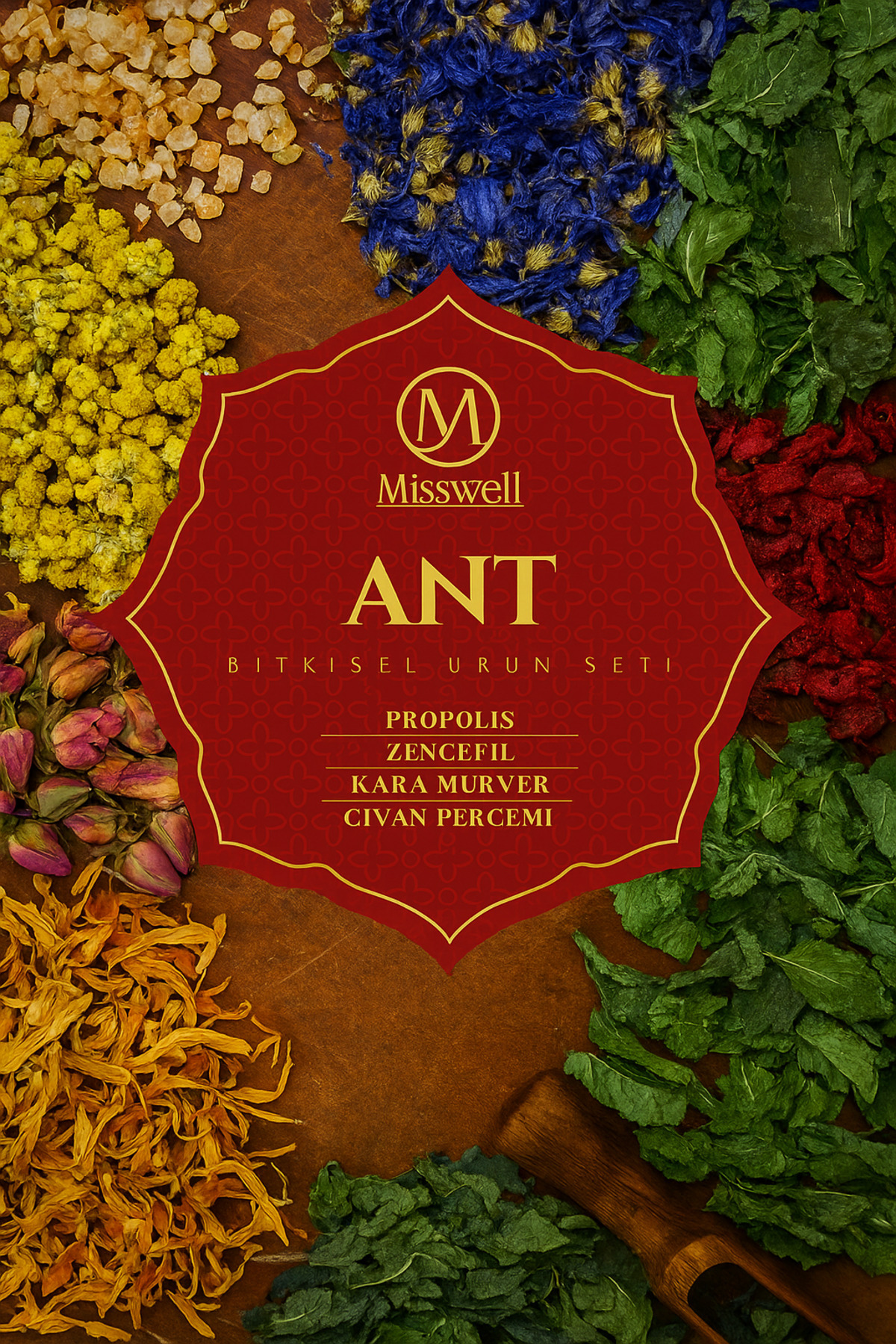 MİSSWELL-ANT Set - Light and Short Cut Ant Colony 3