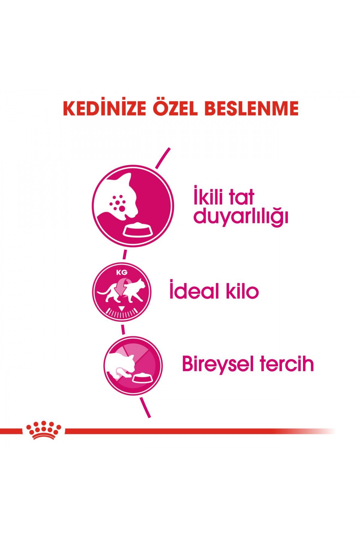 Royal Canin-Exigent Seçici Kediler Için Kuru Kedi Maması 10kg 4