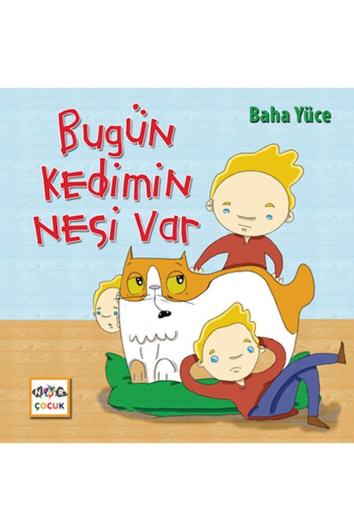 Nar Yayınları Bugün Kedimin Nesi Var