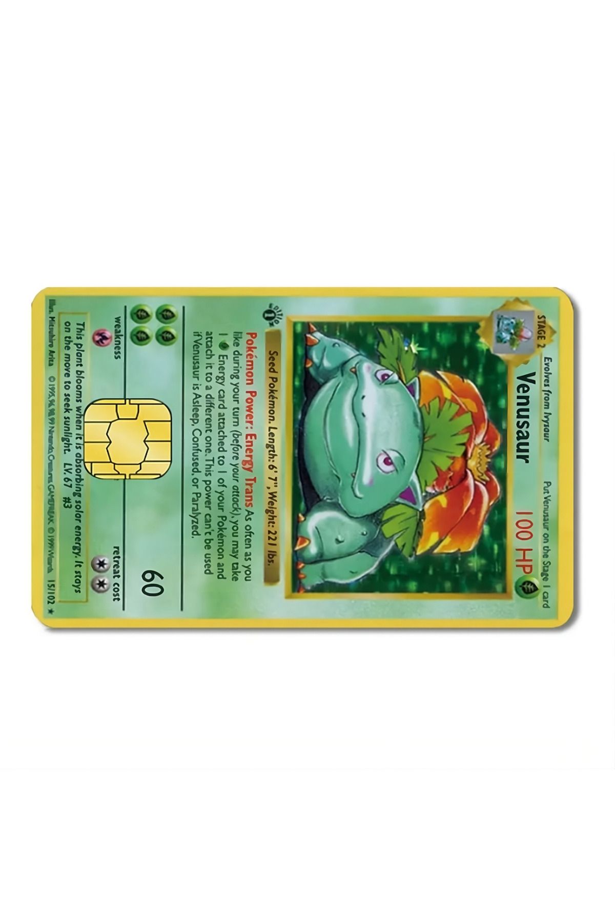 yoyadizayn Pokemon Kart Kaplama Kredi Kartı, Metro Kartı, Öğrenci Kartı Kaplama Anime Küçük Çip