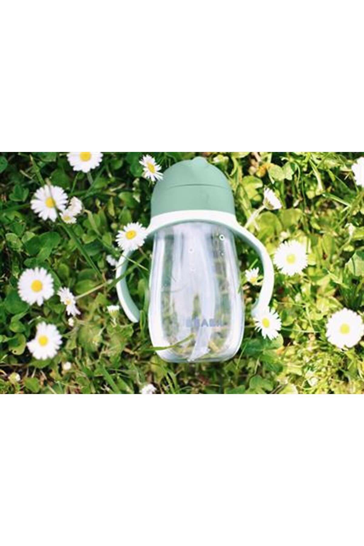 Beaba 300 ml Şeffaf Pipetli Suluk Sage Green fotoğrafı 3 (önizleme)