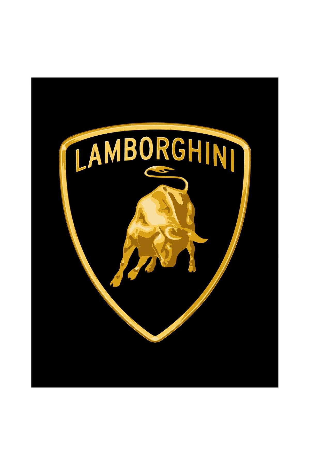 Z zepplin Lamborghni Gold Logo Büyük Sırt Patch Yama
