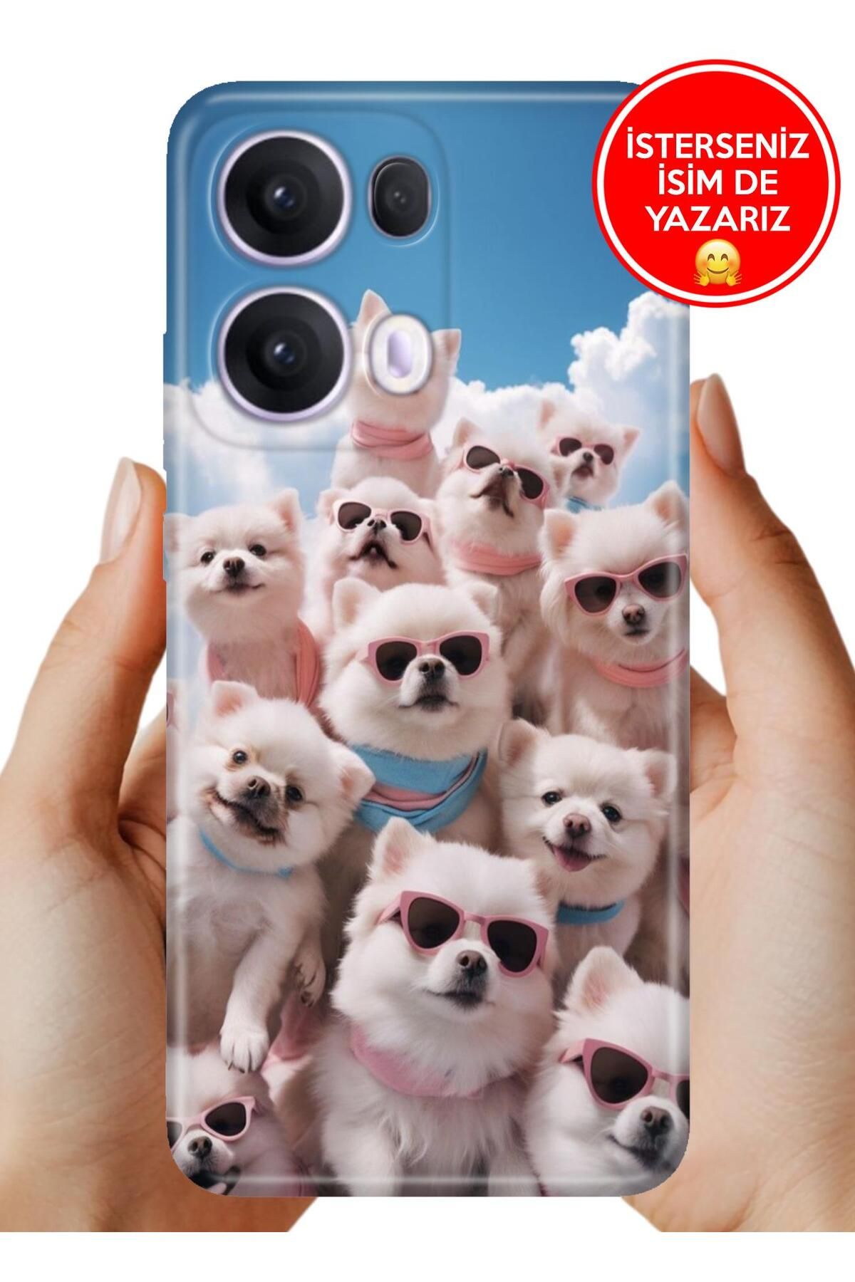 OPPO Reno 13 Pro Kılıf Oppo Reno 13 Pro TPU Resimli Silikon Kanka Çetesi