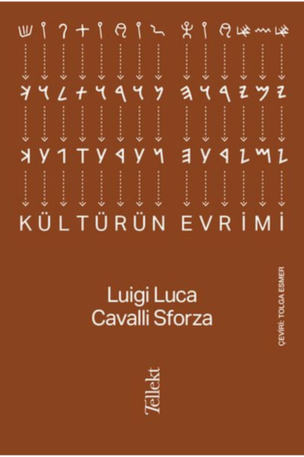 Tellekt Kültürün Evrimi