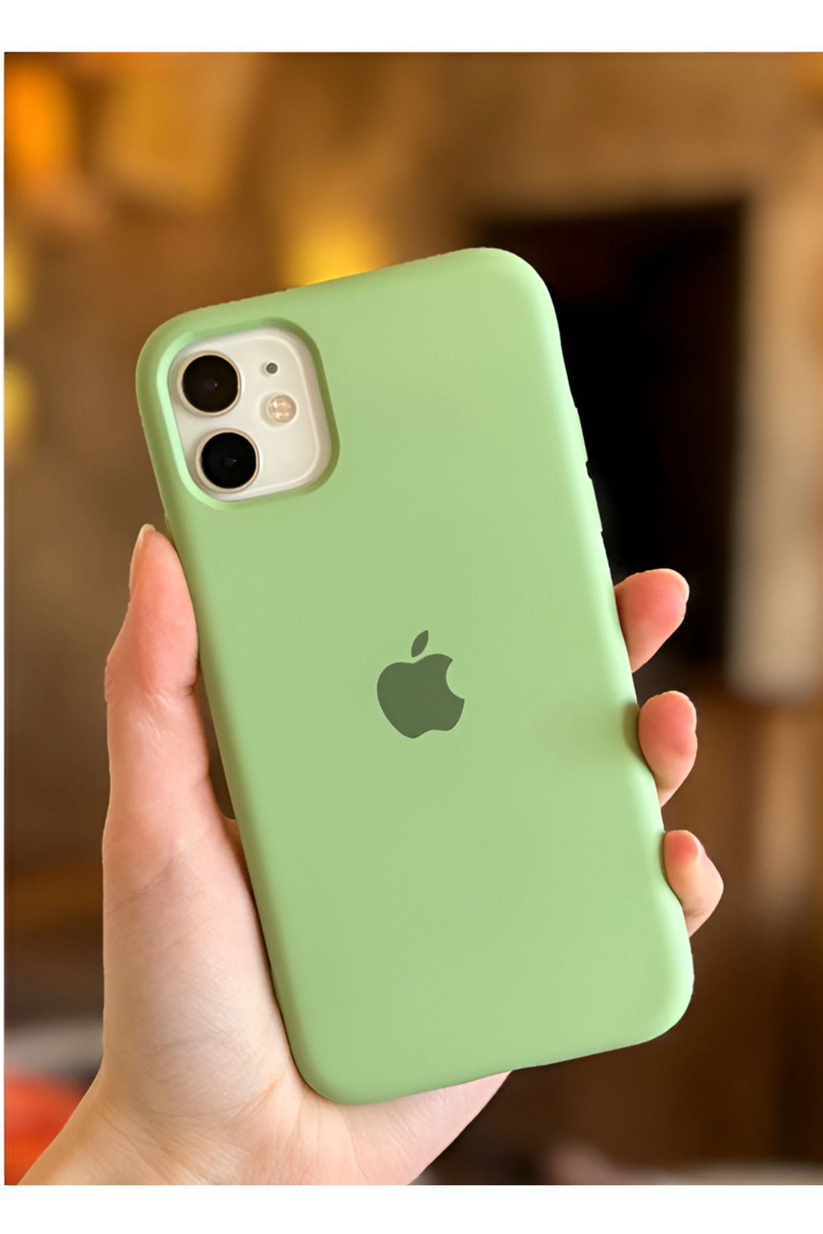 EXS Aksesuar Iphone 11 Uyumlu Içi Kadife Lansman Silikon Kılıf Kapak