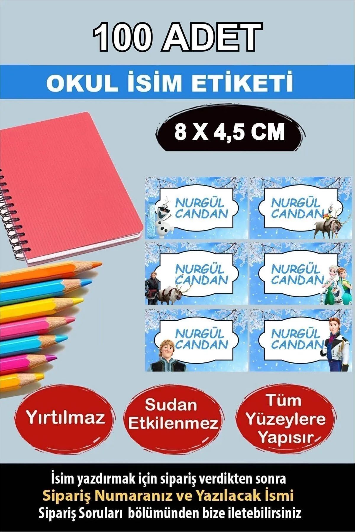 KT Decor Okul Etiketi Karlar Ülkesi Büyük Boy Defter Kitap Özel Isimli Etiket 6 Figür - 100 Adet
