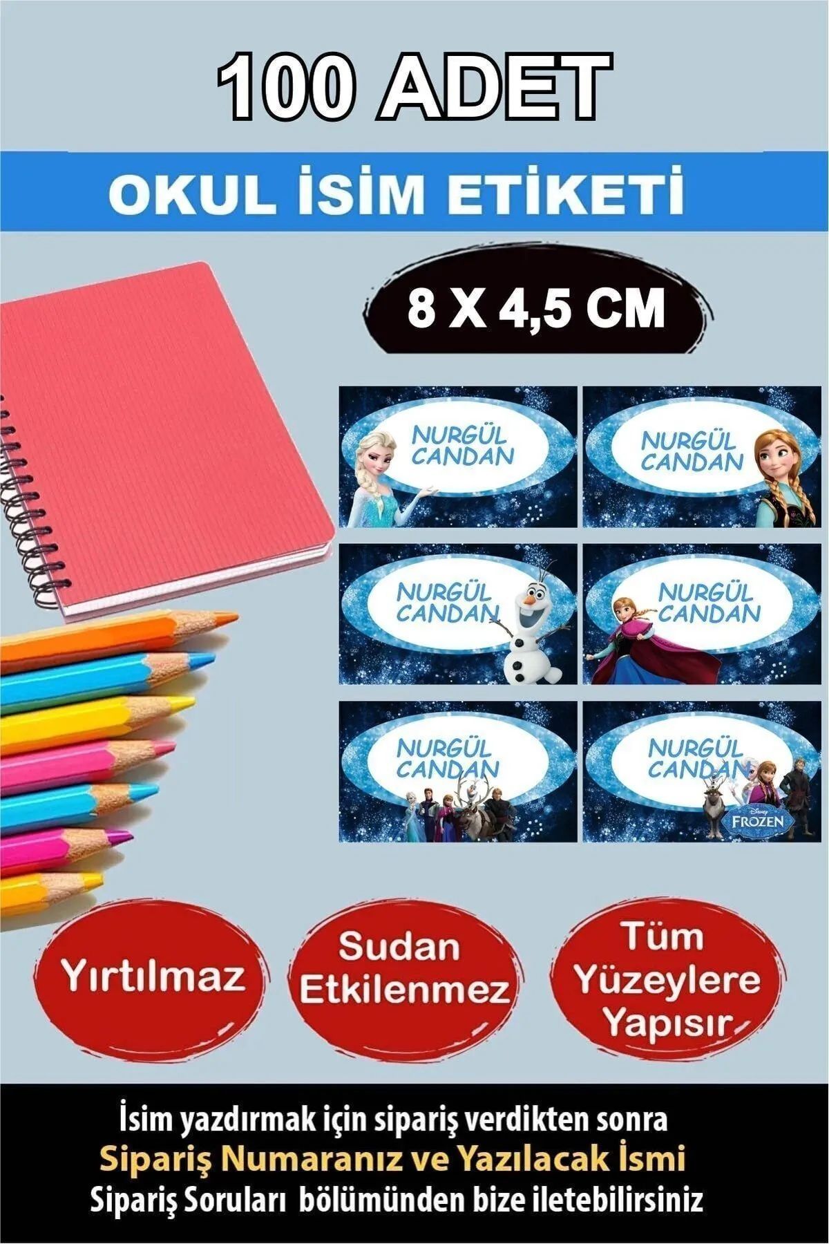 KT Decor Okul Etiketi Karlar Ülkesi Büyük Boy Defter Kitap Özel Isimli Etiket 6 Figür - 100 Adet