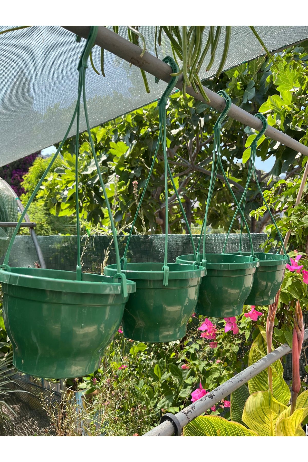 Birtutamrenk Yeşil 4lü Askılı Saksı 2litre