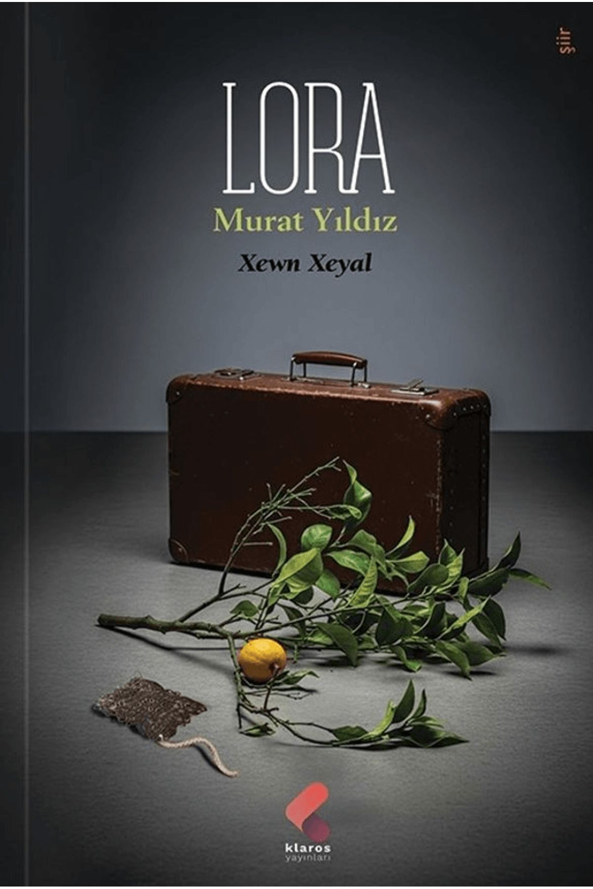 Klaros Yayınları Lora / Murat Yıldız / Klaros Yayınları / 9786254159985