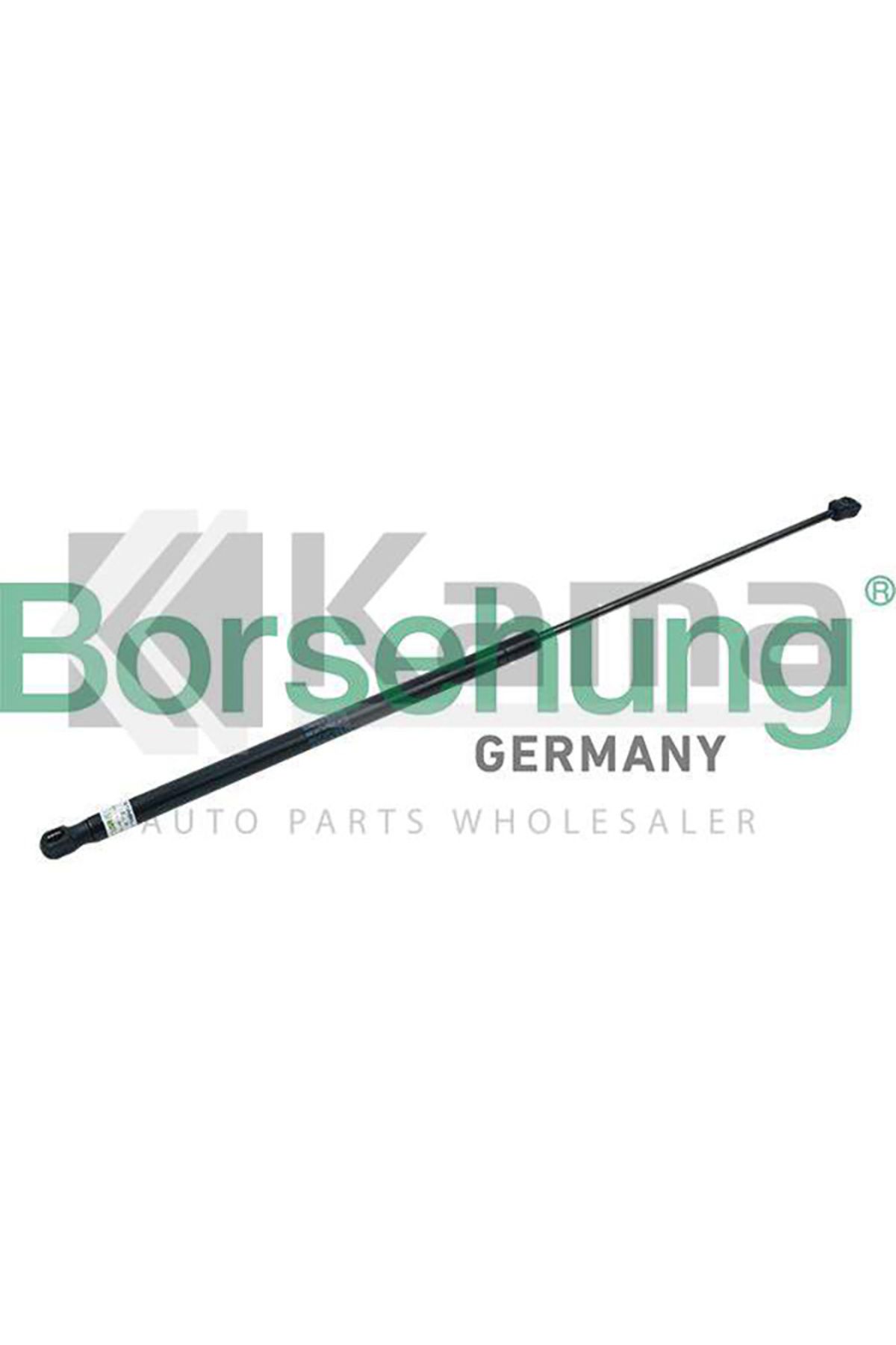 BORSEHUNG Germany 8P0823359 MOTOR KAPUT AMORTİSÖRÜ AUDI A3 04-11