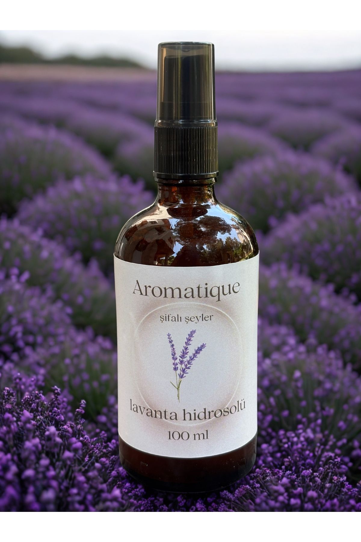 Aromatique Lavanta Hidrosolü