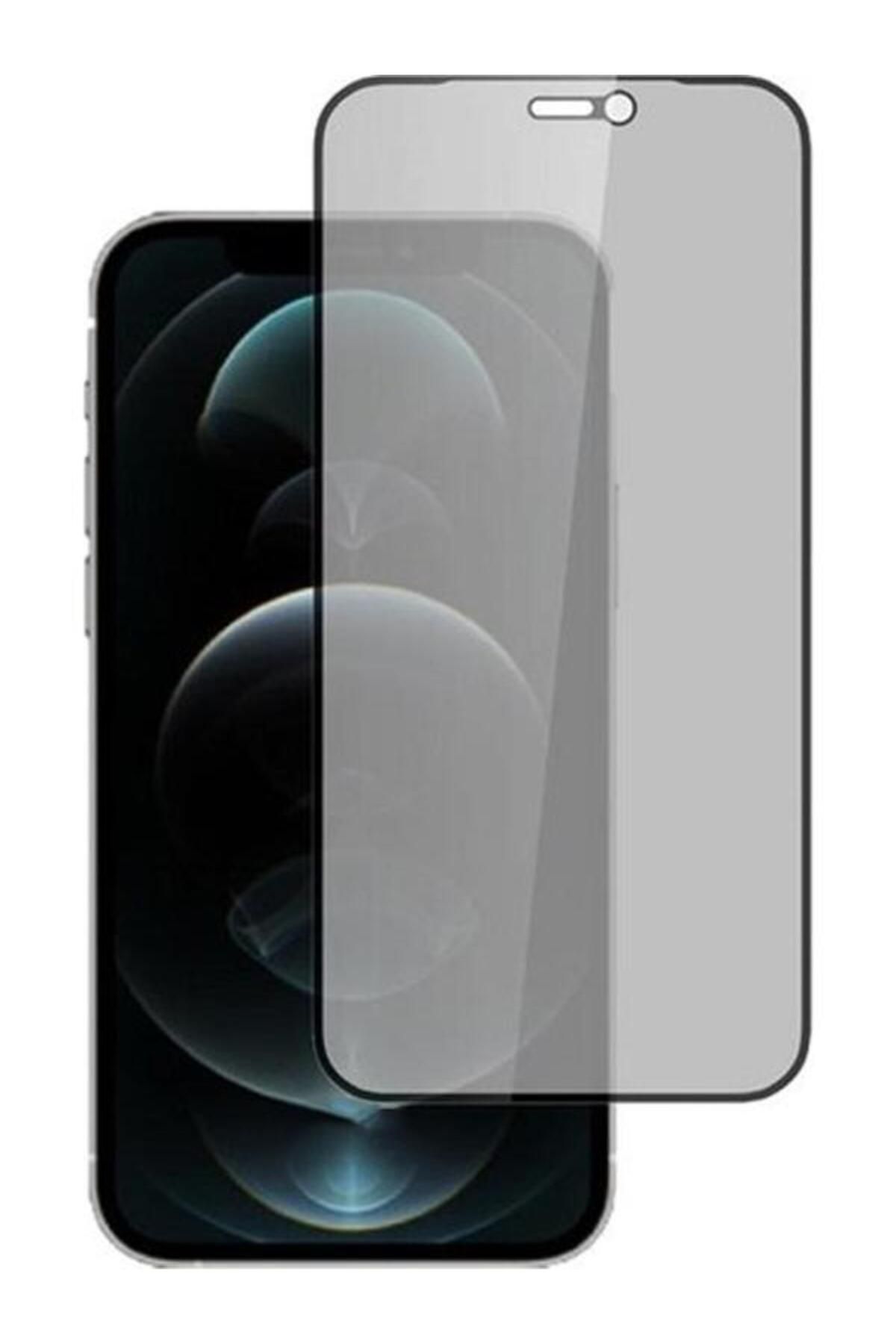 NovaTec Teknoloji iPhone 12 Pro Max HAYALET ANTİSTATİK TAM KAPLAYAN ESD CAM KORUYUCU