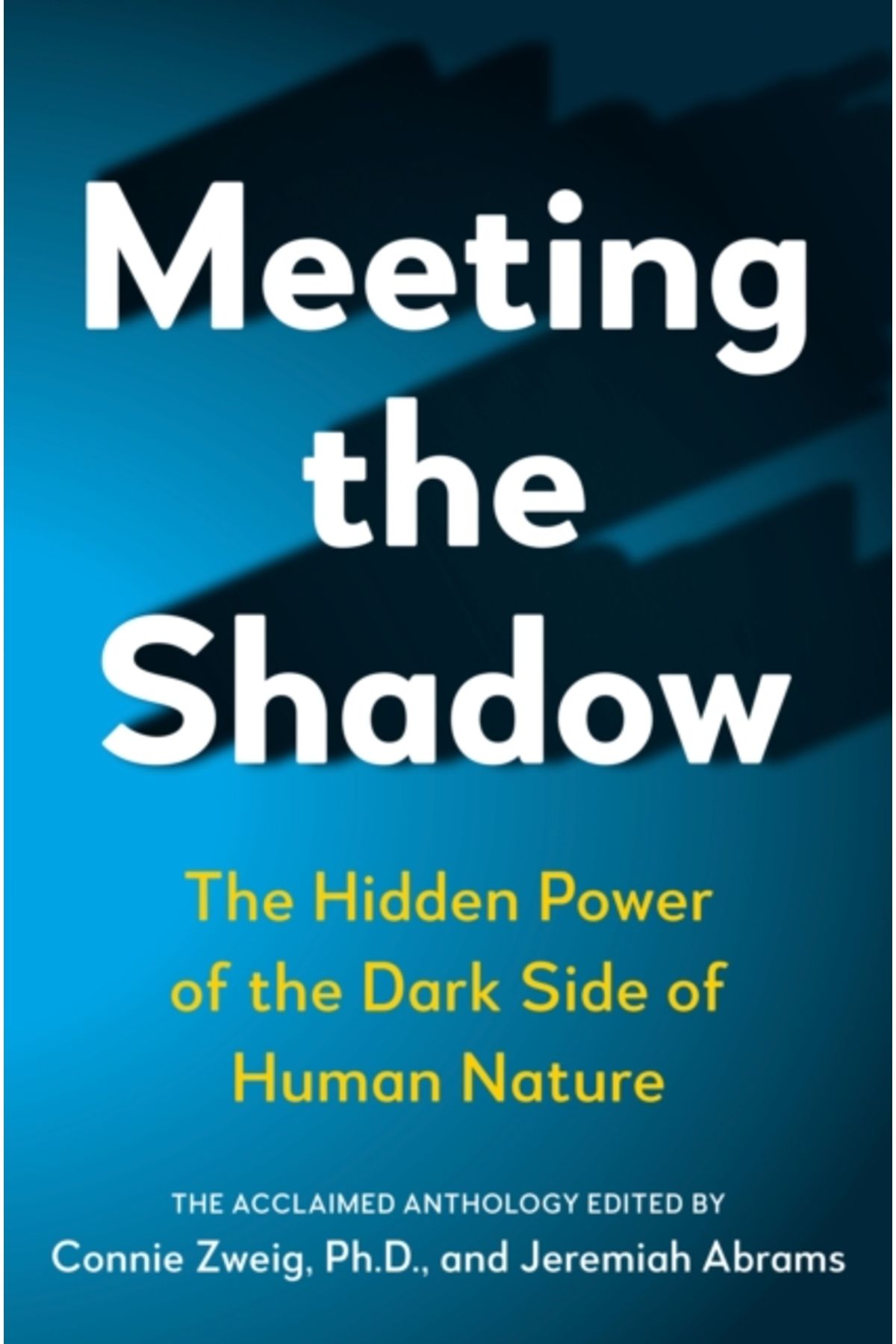 Pandora Kitabevi Meeting the Shadow : The Hidden Power of the Dark Side of Human Nature
