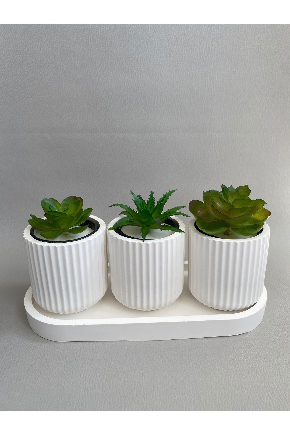 SELAR HOME DECOR Kaktüs sukulent için çizgili 4'lü set