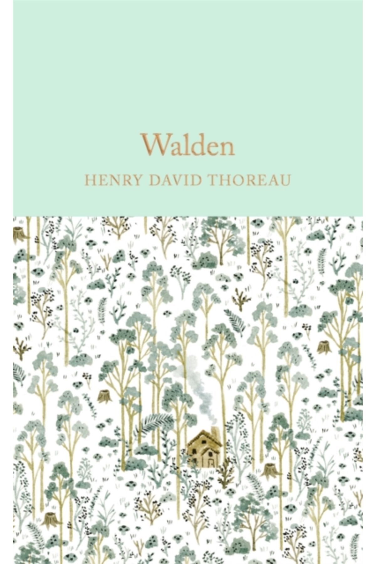 Pandora Kitabevi Walden