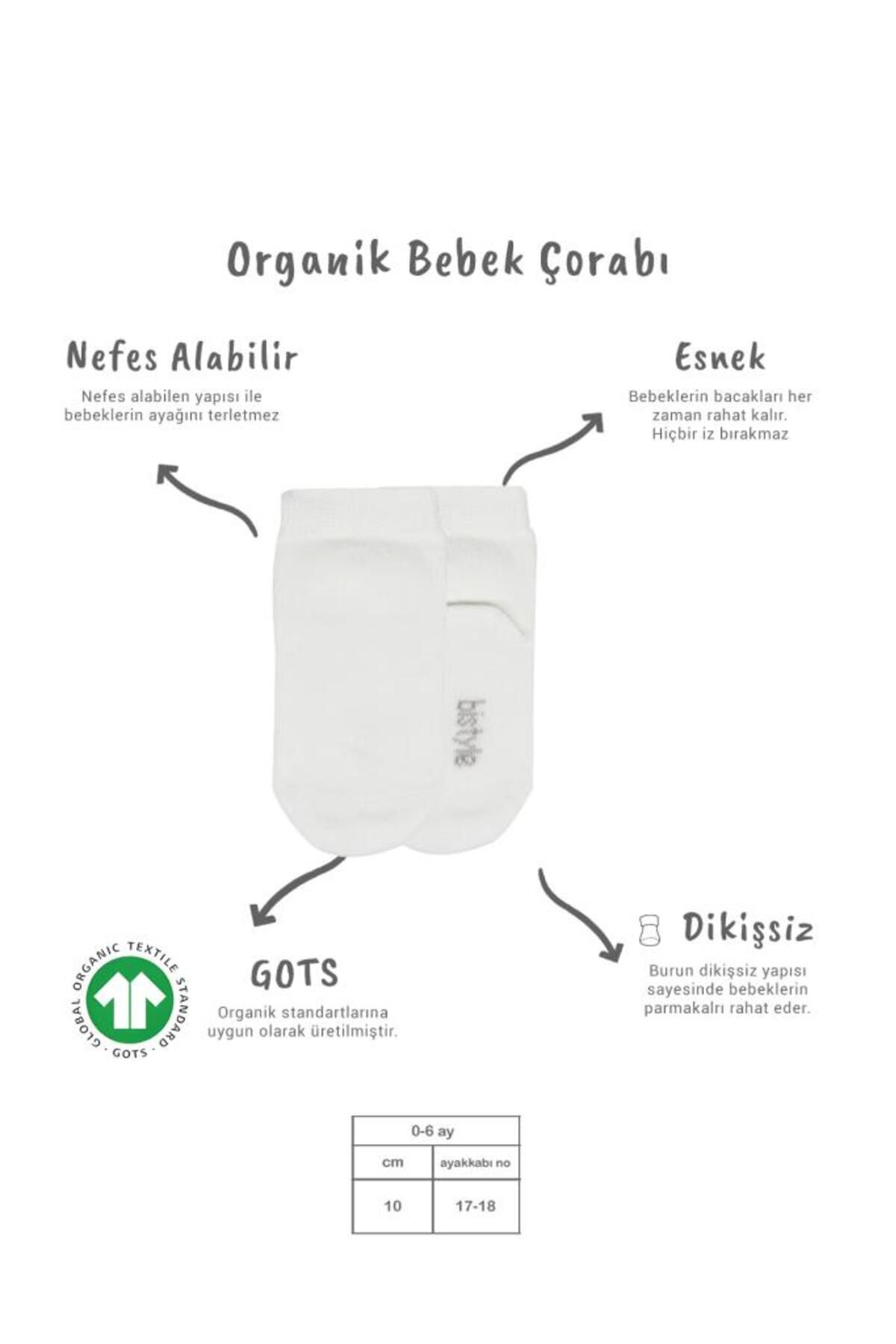 NW NessiWorld Nessiworld Bistyle 5'li Penye Soket Kutulu Basic Çorap 10131 Ekru