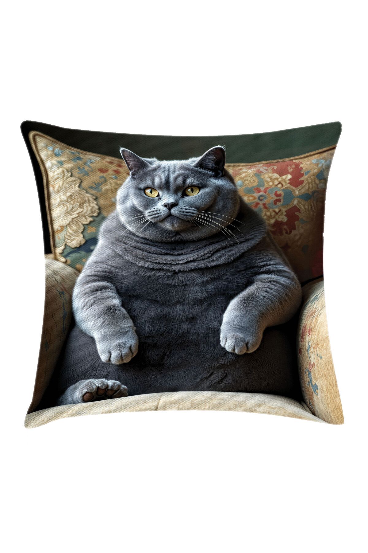 Orange Venue Scottish Fold Desenli Minder Kılıfı, Komik ve Sevimli Patron Kedi, Mavi Gri Karamel ve Yakut