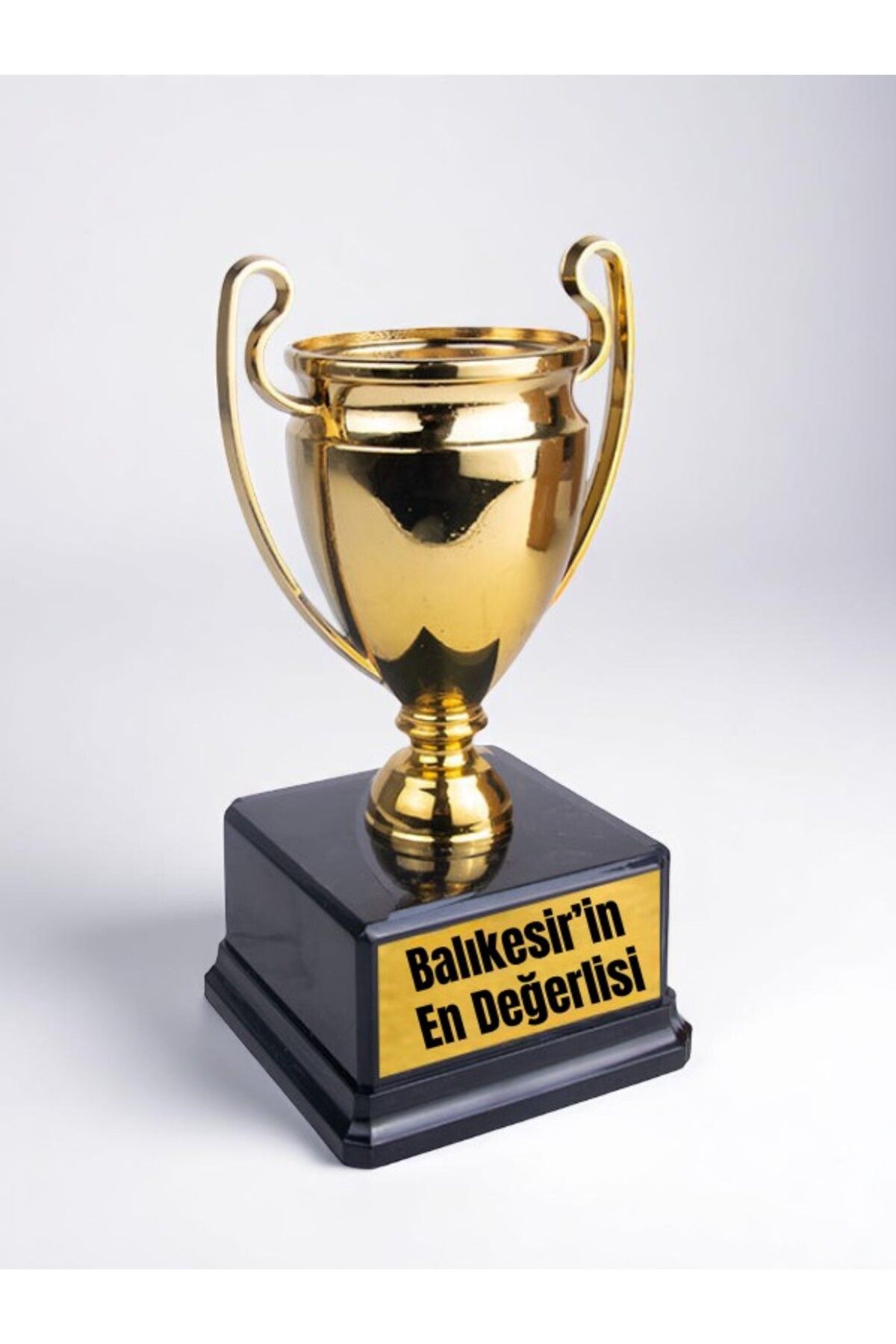 lili hediyelik Balıkesir'in En Değerlisi Yazılı Ödül Başarı Şampiyonluk Kupası 23 Cm Balıkesirliye Hediye