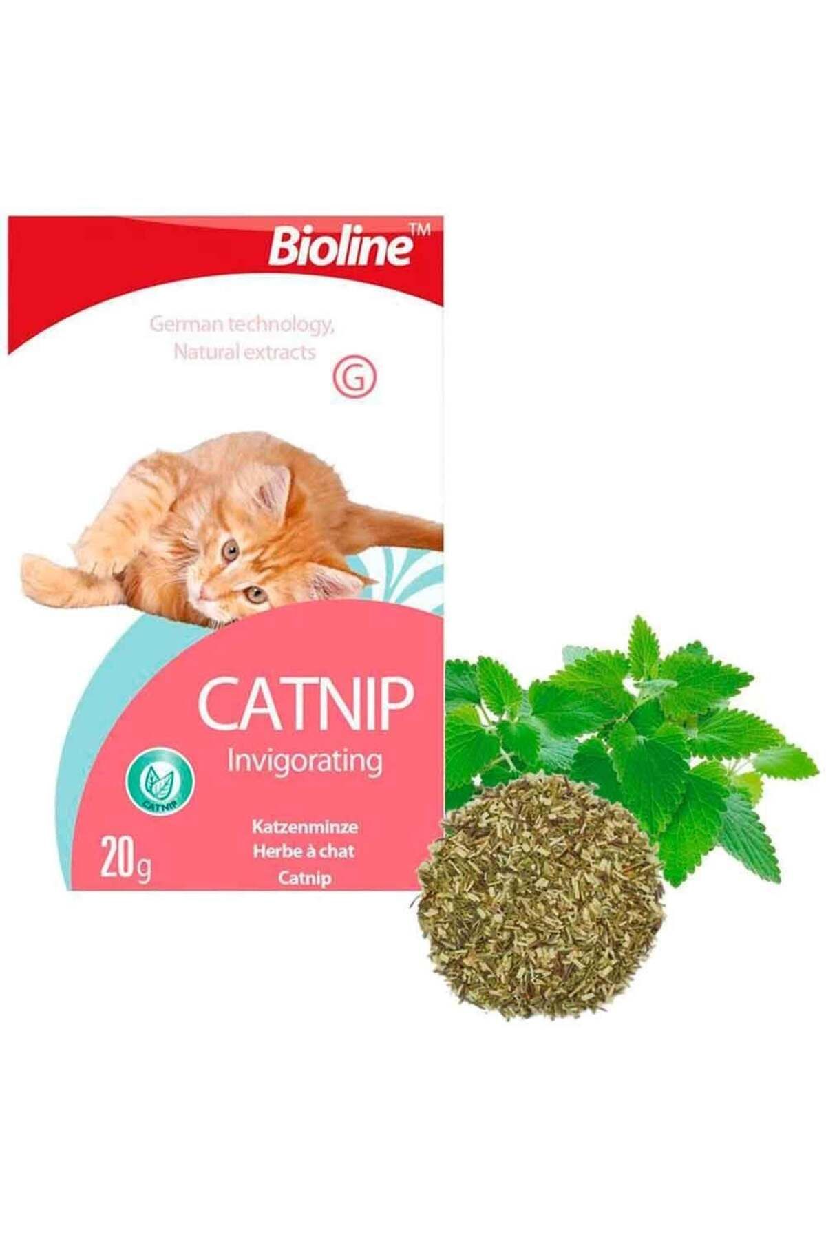 Badem Akvaryum Bioline Catnip Doğal Kedi Nanesi 20 Gr
