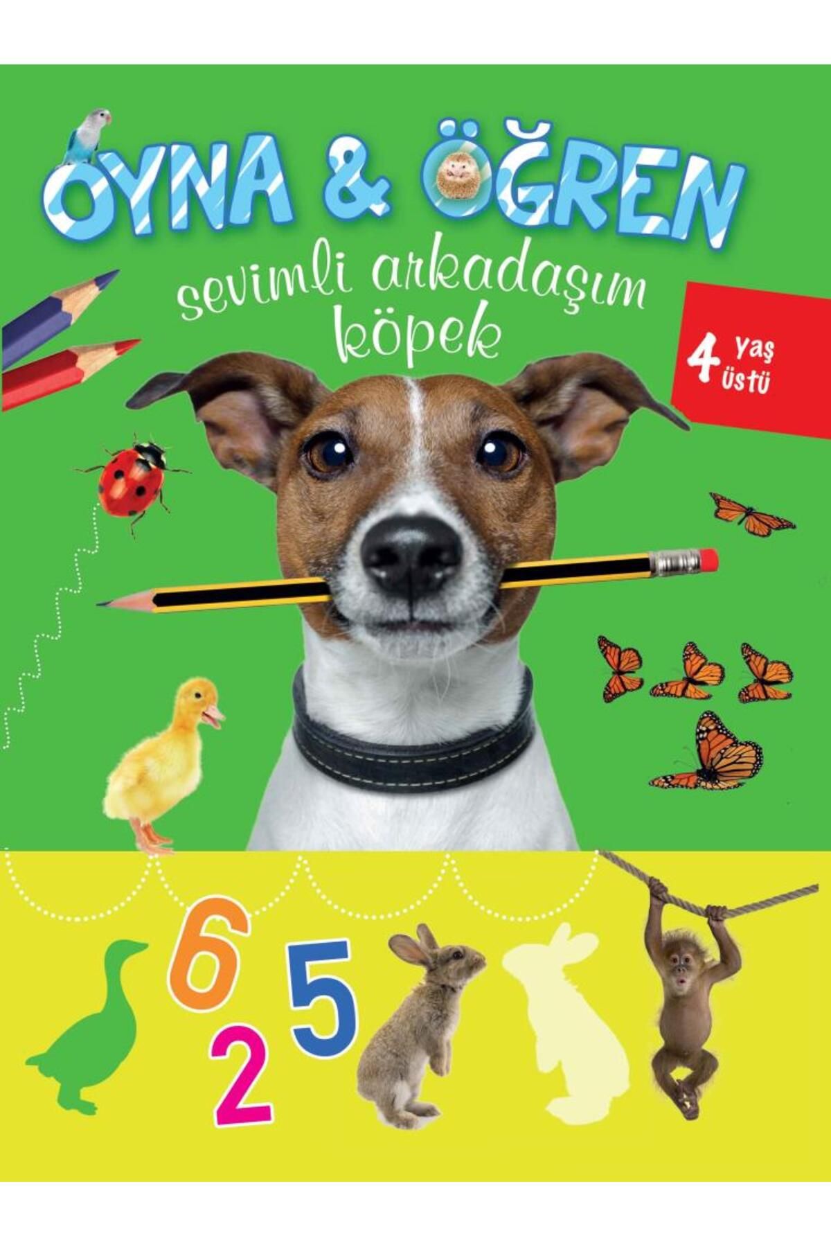 Parıltı Yayınları Oyna Öğren Sevimli Arkadaşım Köpek 4 Yaş Üstü