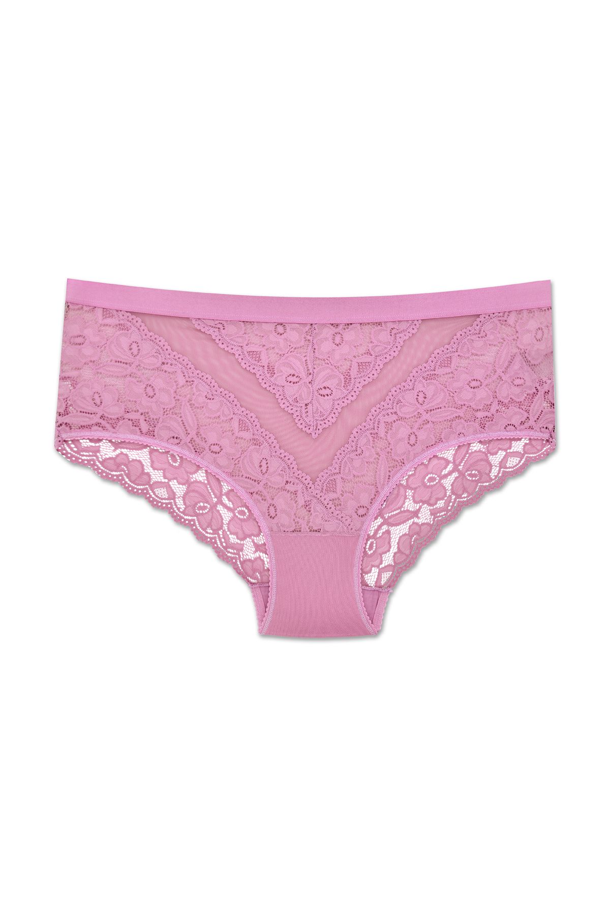 ZENA UNDERWEAR Dantelli Tül Detaylı Lastikli Yüksek Bel Büyük Beden Kadın Külot