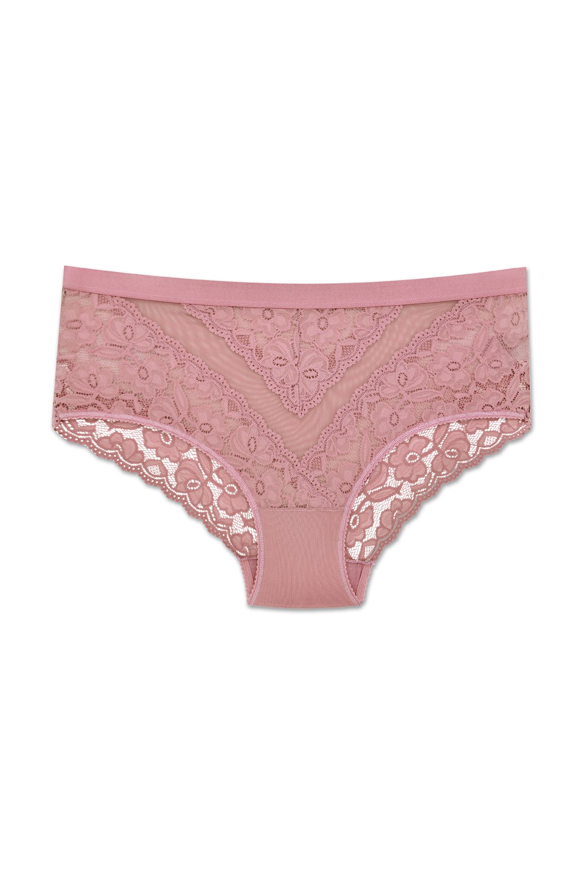 ZENA UNDERWEAR Dantelli Tül Detaylı Lastikli Yüksek Bel Büyük Beden Kadın Külot