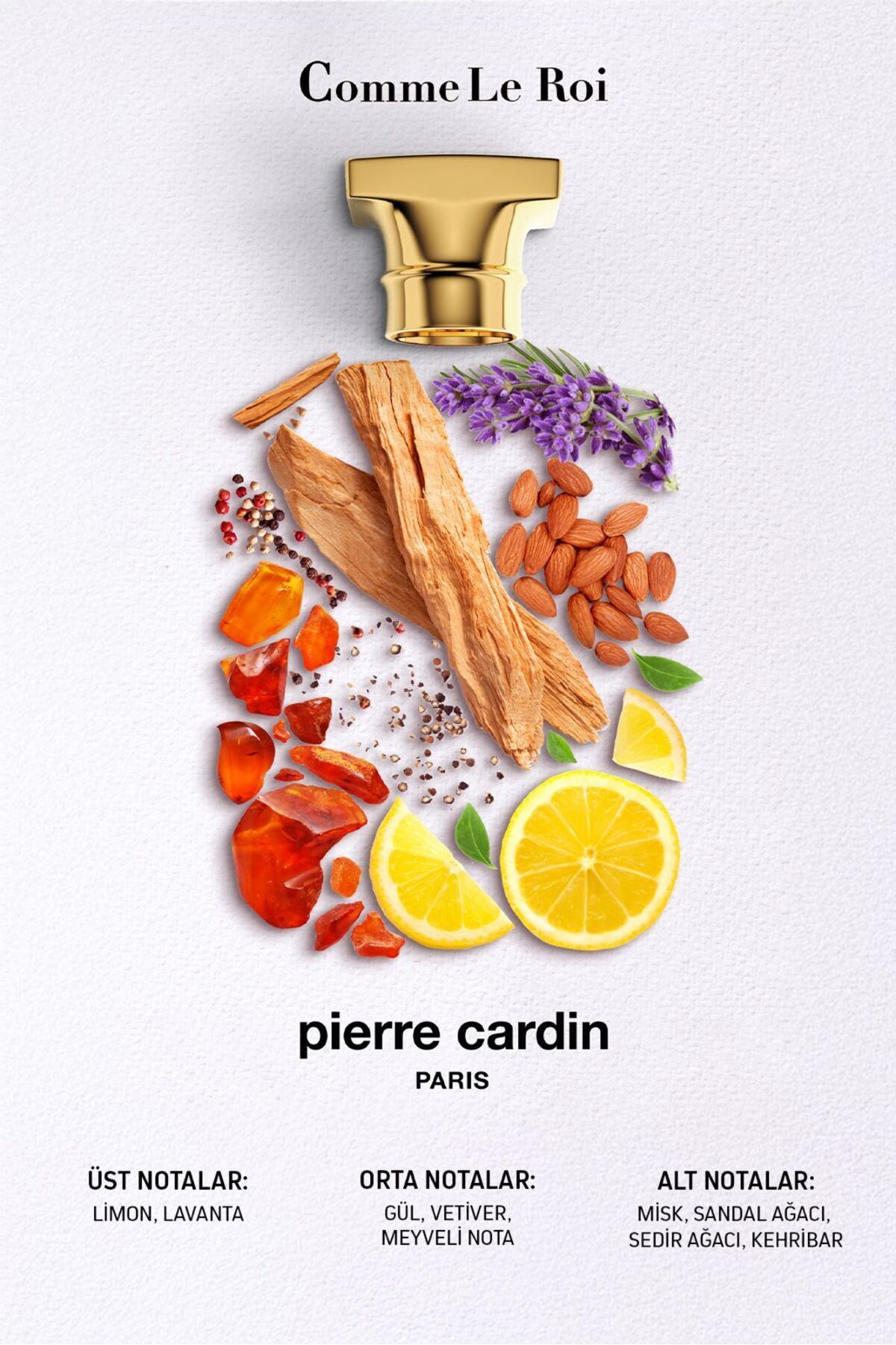 عطر مردانه | پیر کاردین Pierre Cardin STCC021289 - تصویر 2