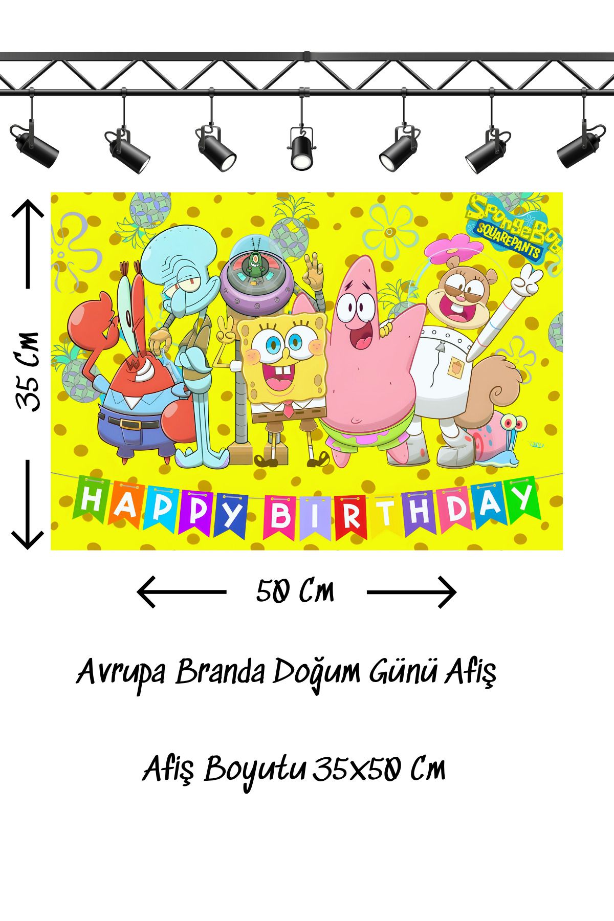 snowparty Doğum Günü Afişi Poster Avrupa Branda 35x50 Cm