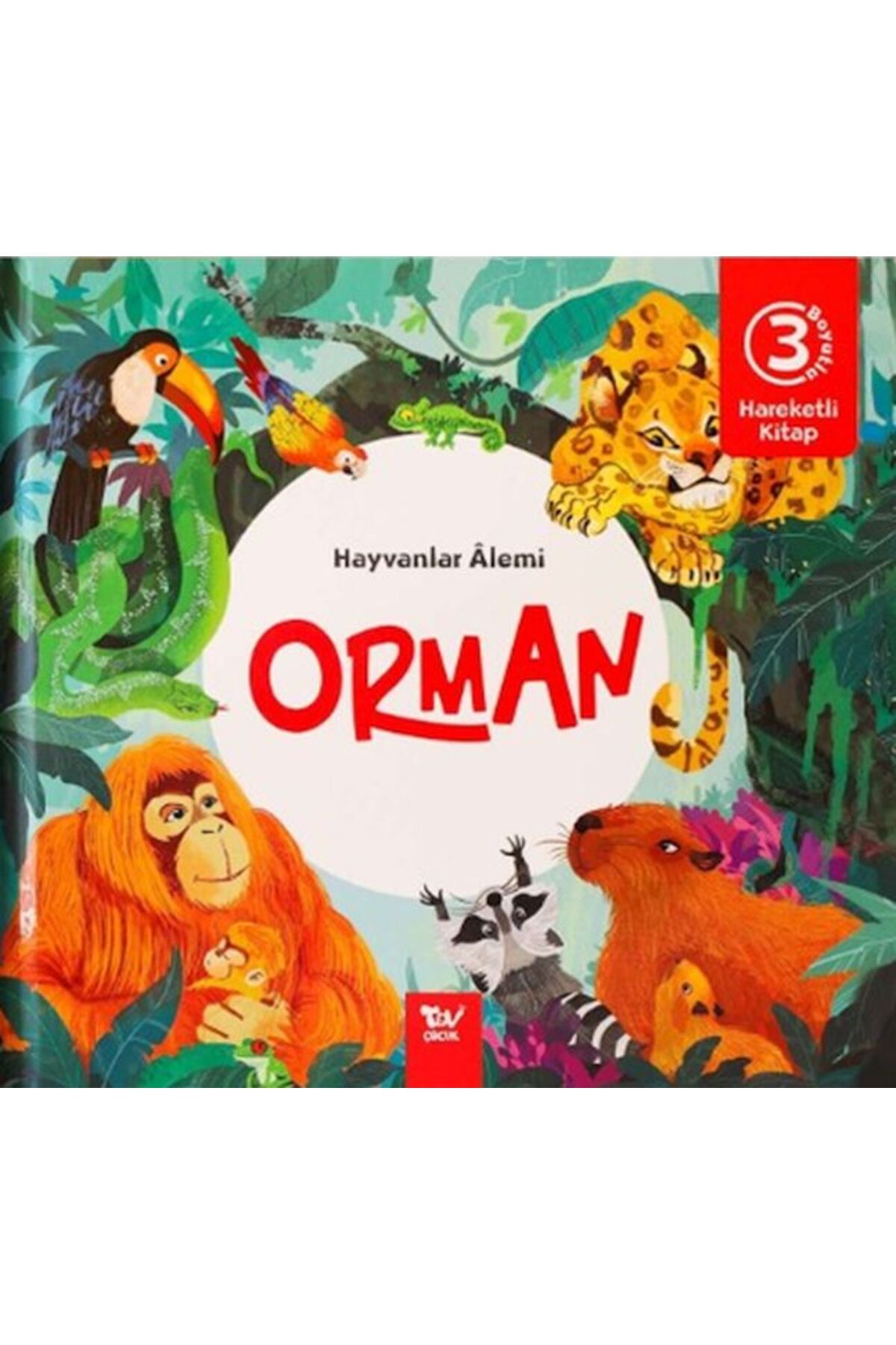 Türkiye Diyanet Vakfı Yayınları Hareketli Kitap 3d Hayvanlar Alemi Orman