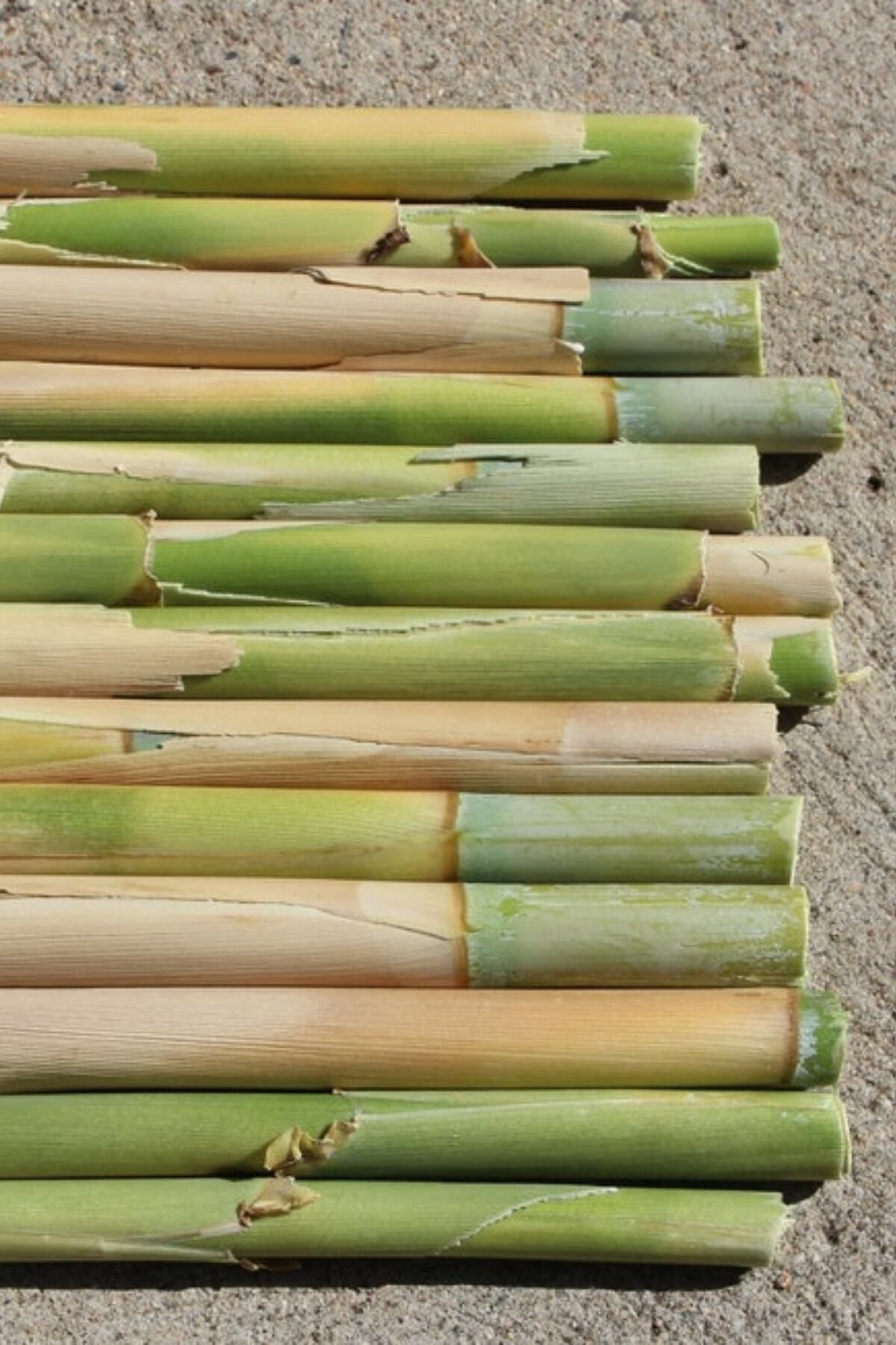 DEKORANLA 5'li 100cm Organik Bambu Çubuklar, Bahçe Dekor ve Çiçek Destekleri
