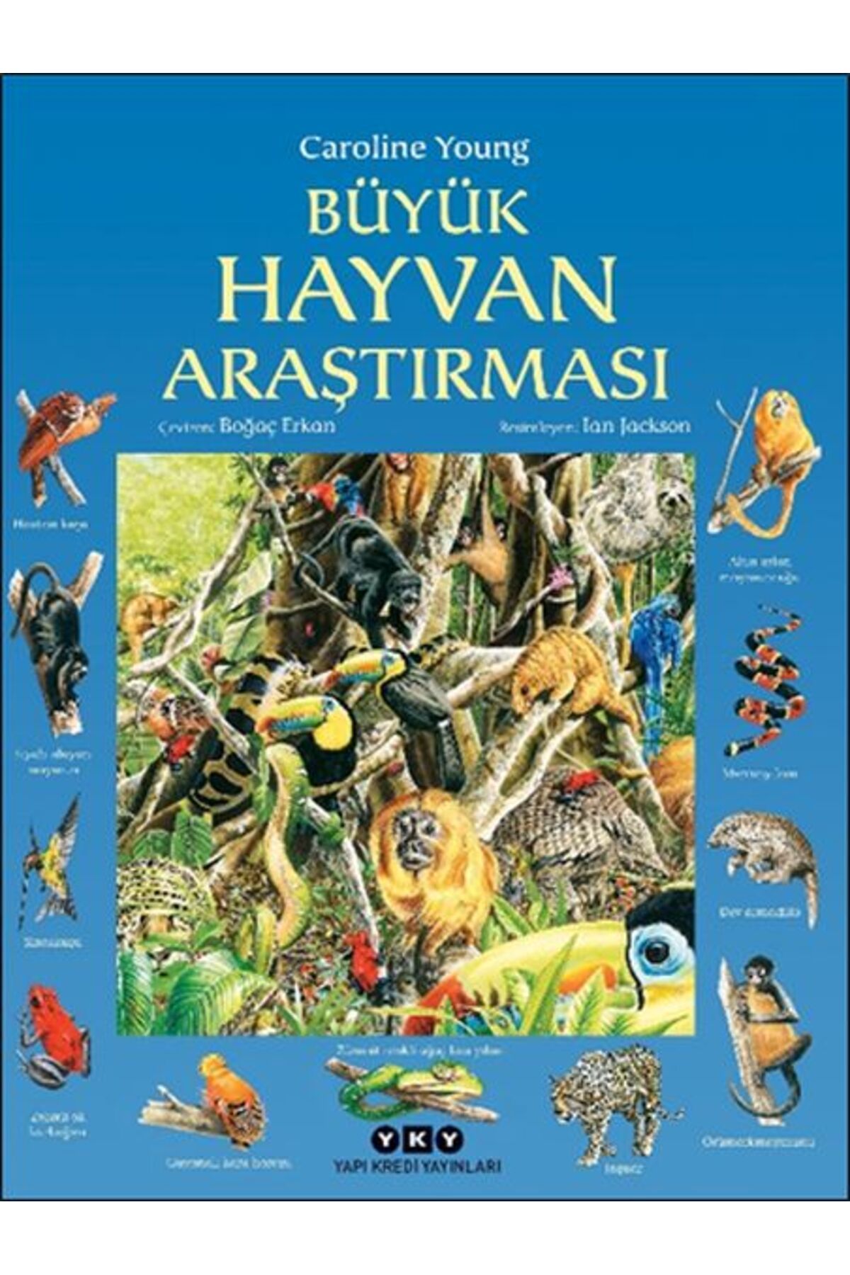 Destek Yayınları Büyük Hayvan Araştırması