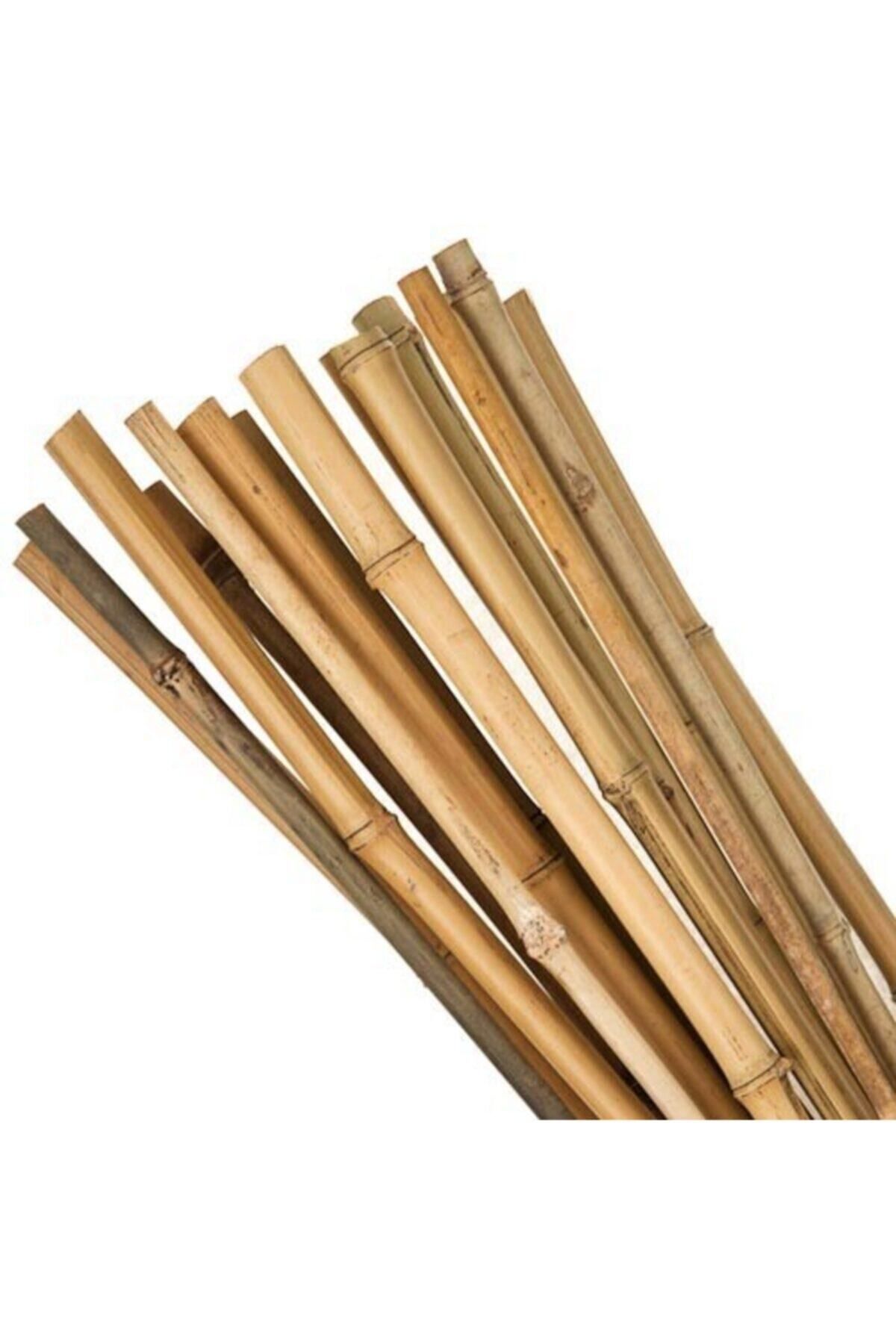 DEKORANLA Bambu Destek Çubuğu 150 cm, 10 adet, doğal renk, 12-14 mm, bitki destek için uygun