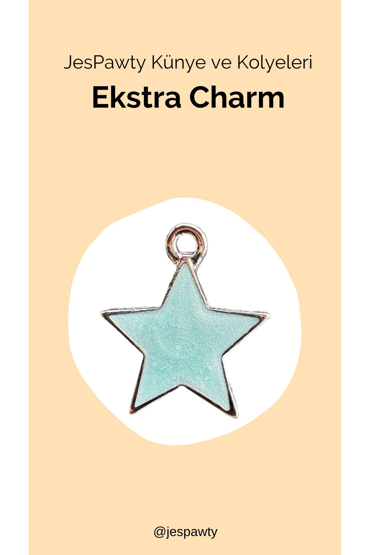 JesPawty Kolye ve Künye İle Uyumlu Charm Gümüş Renk Kaplama