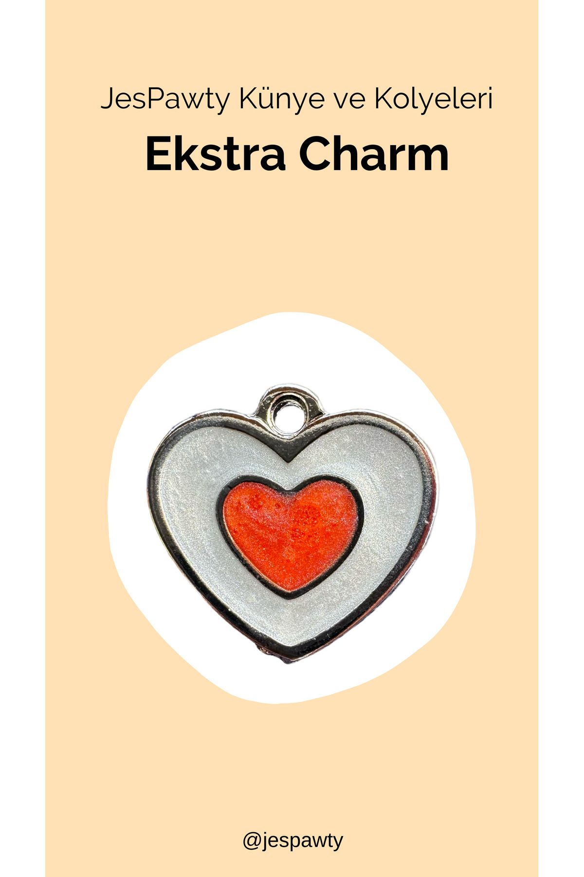 JesPawty Kolye ve Künye İle Uyumlu Charm Gümüş Renk Kaplama