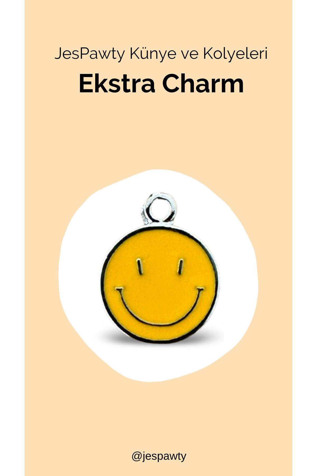 JesPawty Kolye ve Künye İle Uyumlu Charm Gümüş Renk Kaplama