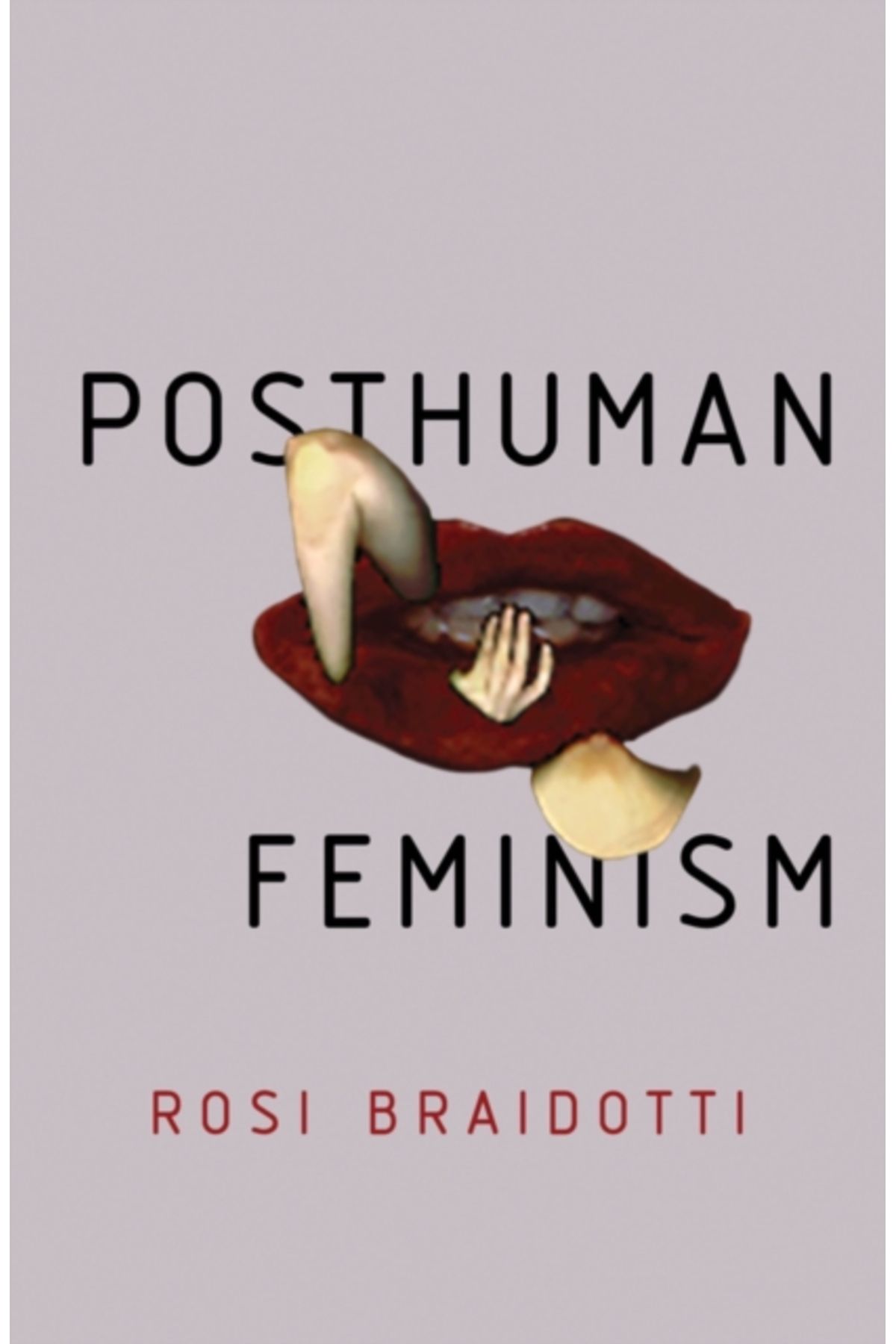 Pandora Kitabevi Posthuman Feminism
