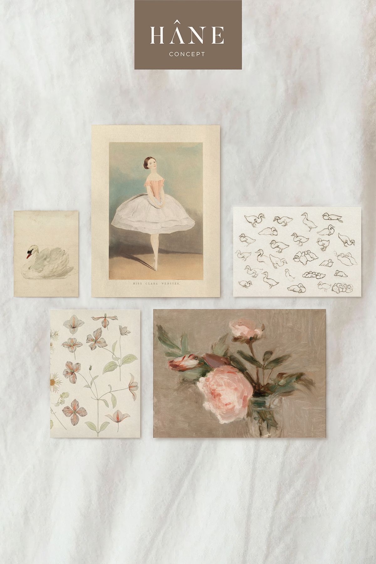 Hane Concept 5'li Çiçek ve Pembe Baskı Seti, Vintage Galeri Duvarı, Açık Renkli Baskı, Kız Çocuk Odası Baskı Seti