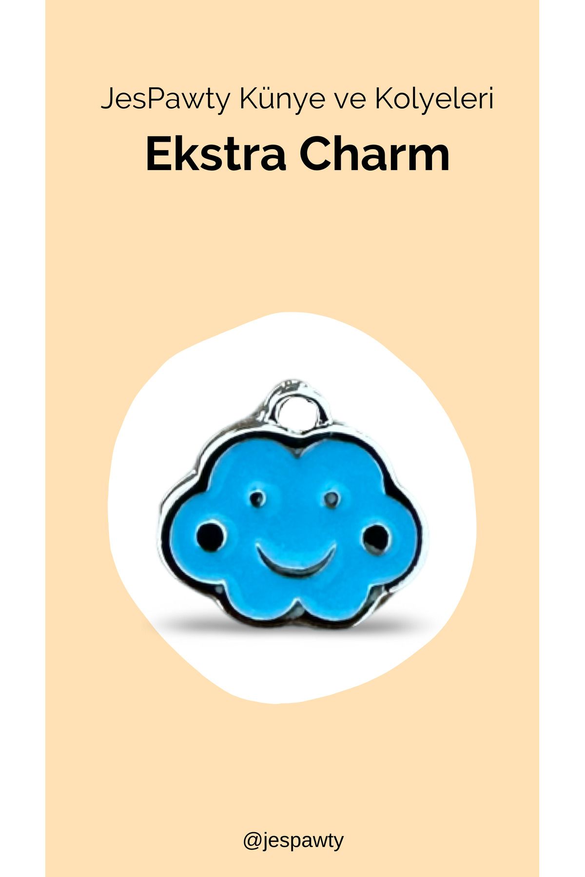 JesPawty Kolye ve Künye İle Uyumlu Charm Gümüş Renk Kaplama