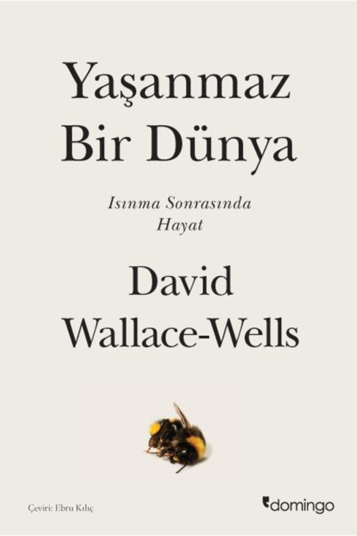 Domingo Yayınevi Yaşanmaz Bir Dünya - Isınma Sonrasında Hayat