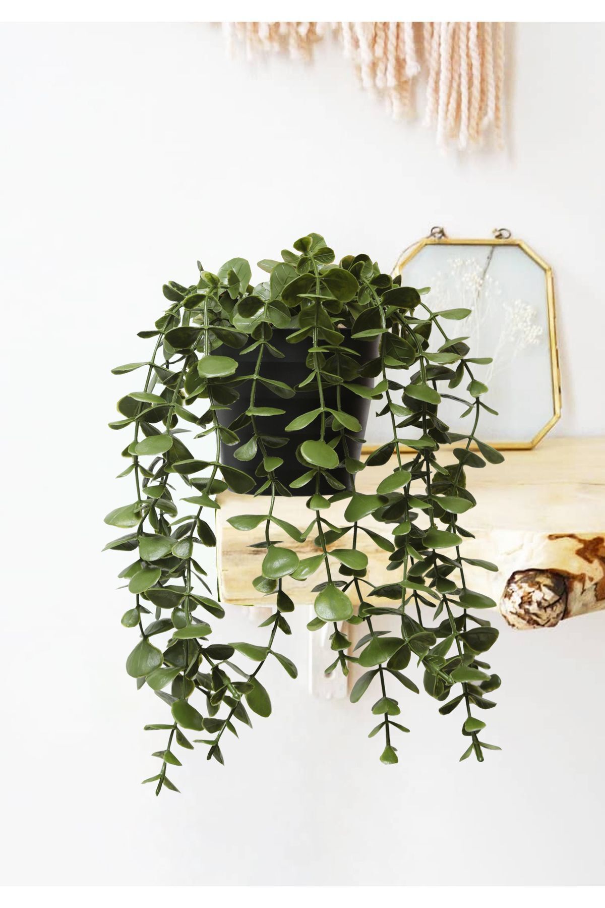 Ayshe Home Concept Saksıda Sarkan Okaliptus Karışık Renk Saksı Yapay Çiçek Sarmaşık 28 Cm