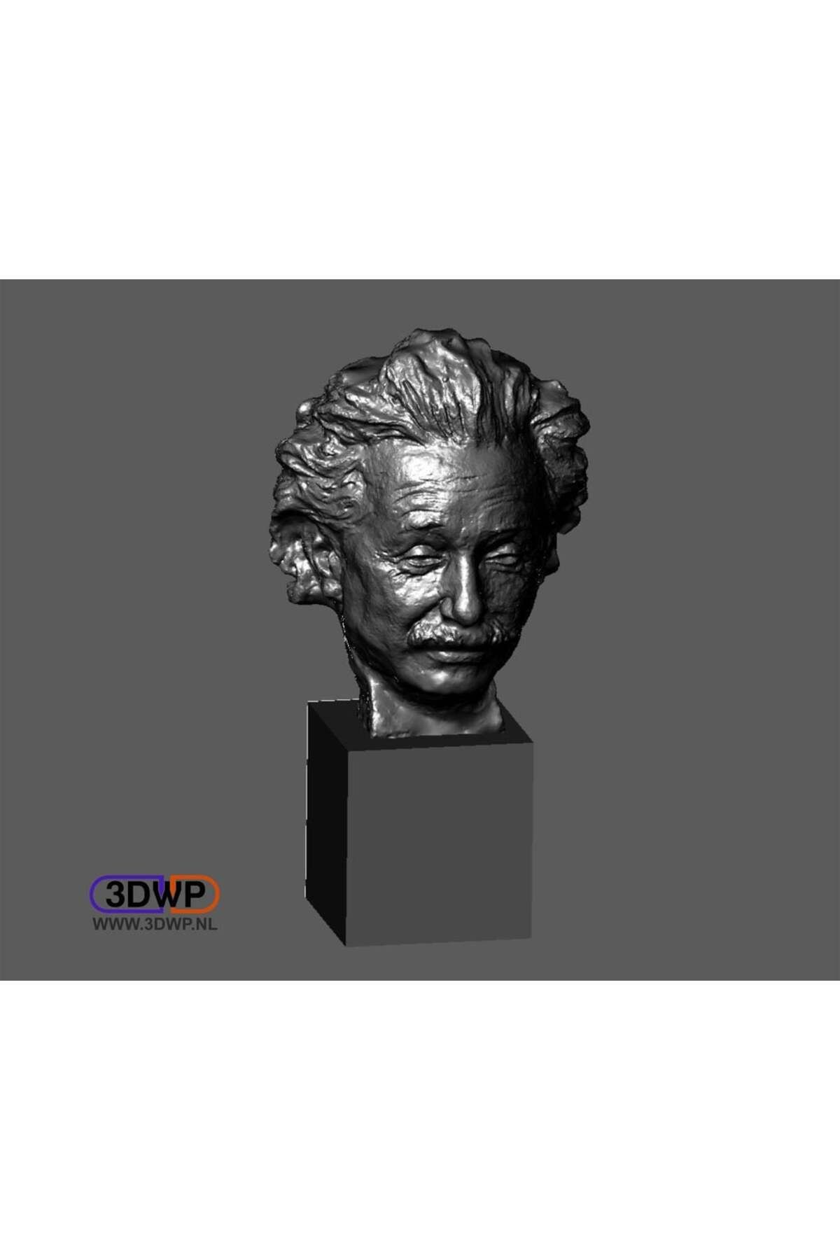 Lucest Einstein Göğüs 3D Taraması (Jo Davidson) (Plastik Aparattır!!!)