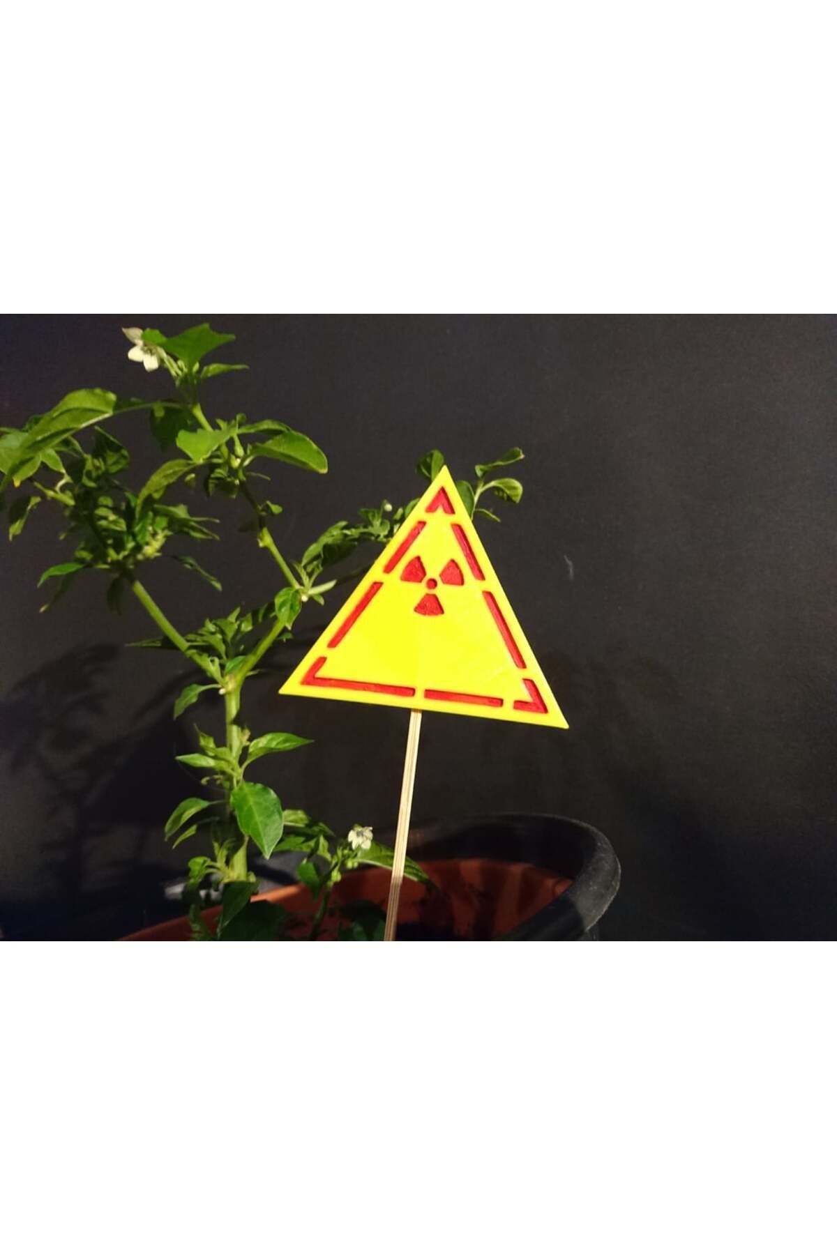 Lucest Çernobil İşareti (Plastik Aparattır!!!)