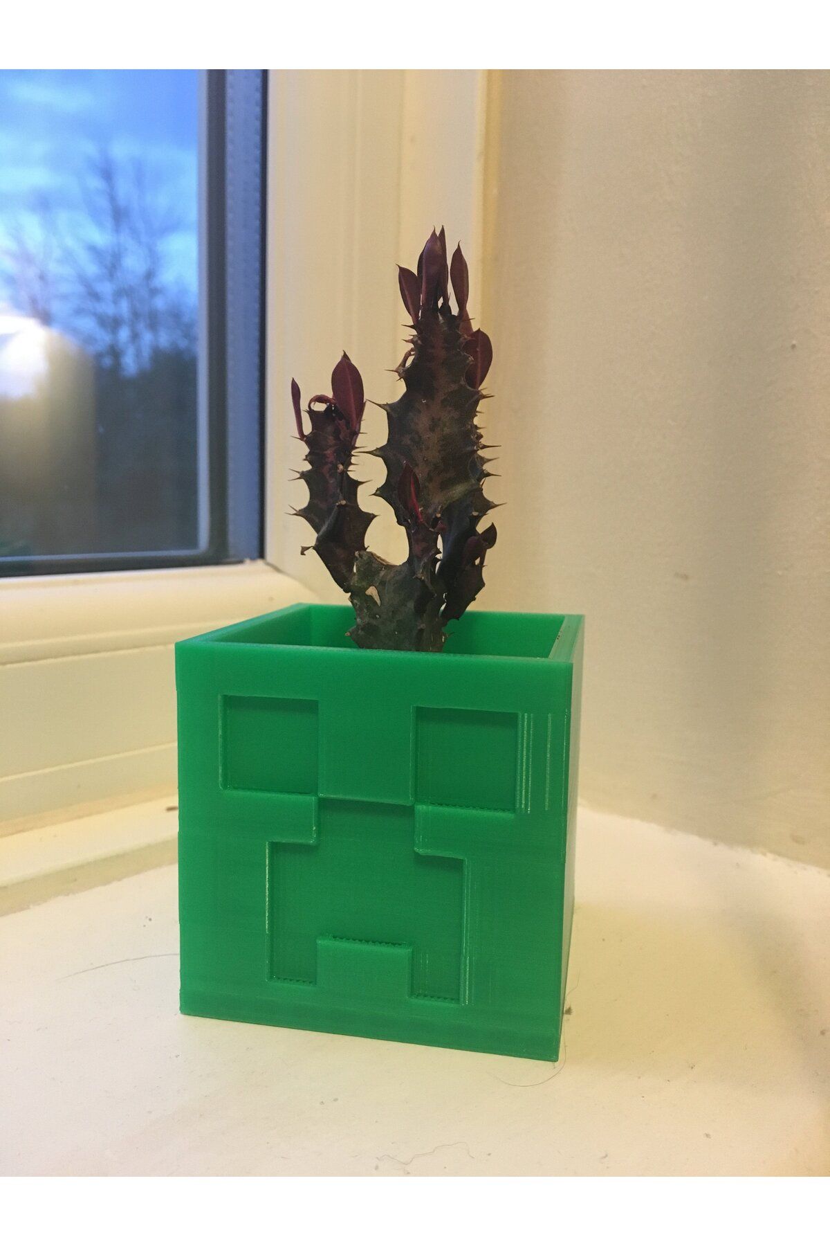 Vision Craft Minecraft Creeper Ekici / Pot